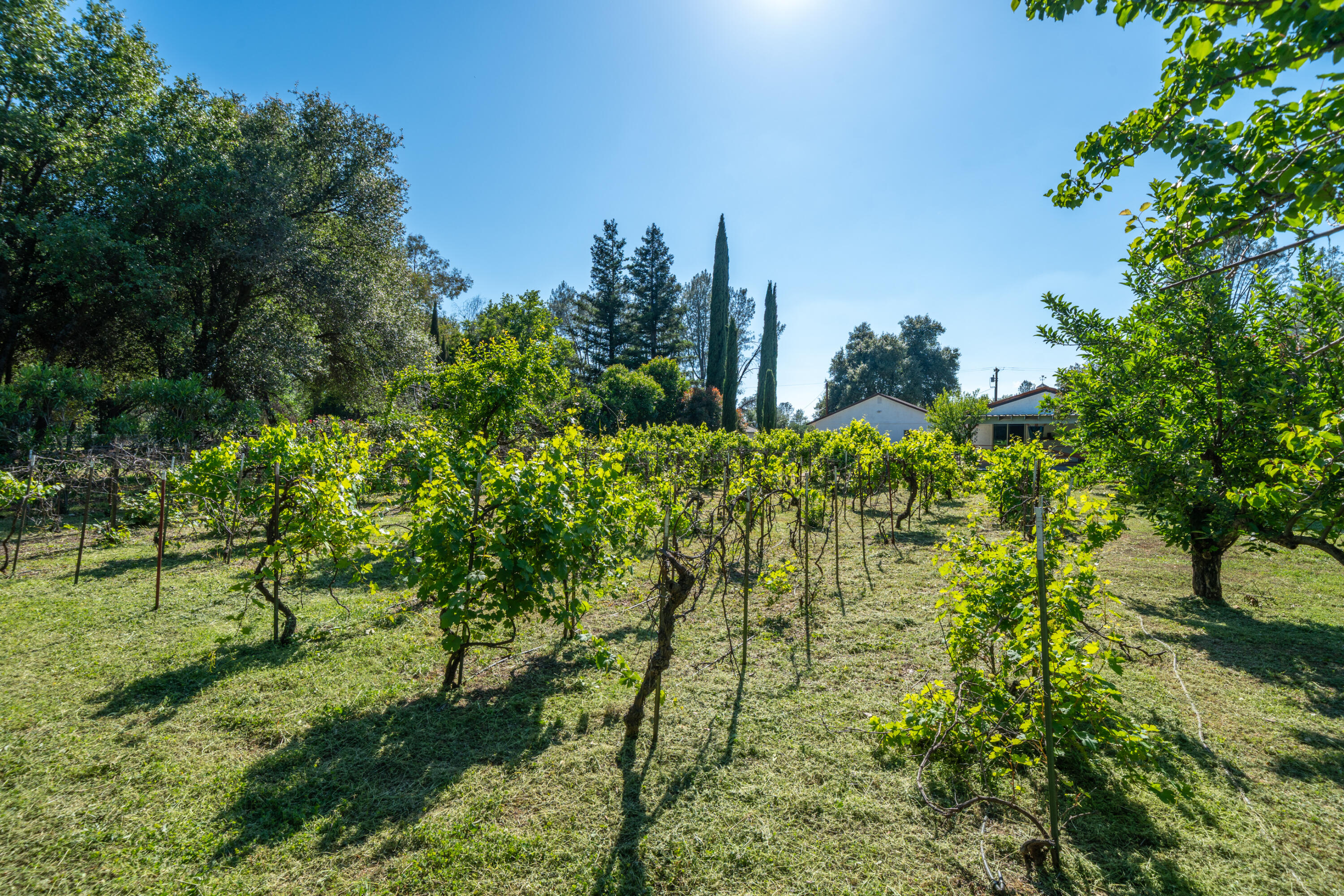 main property photo 54