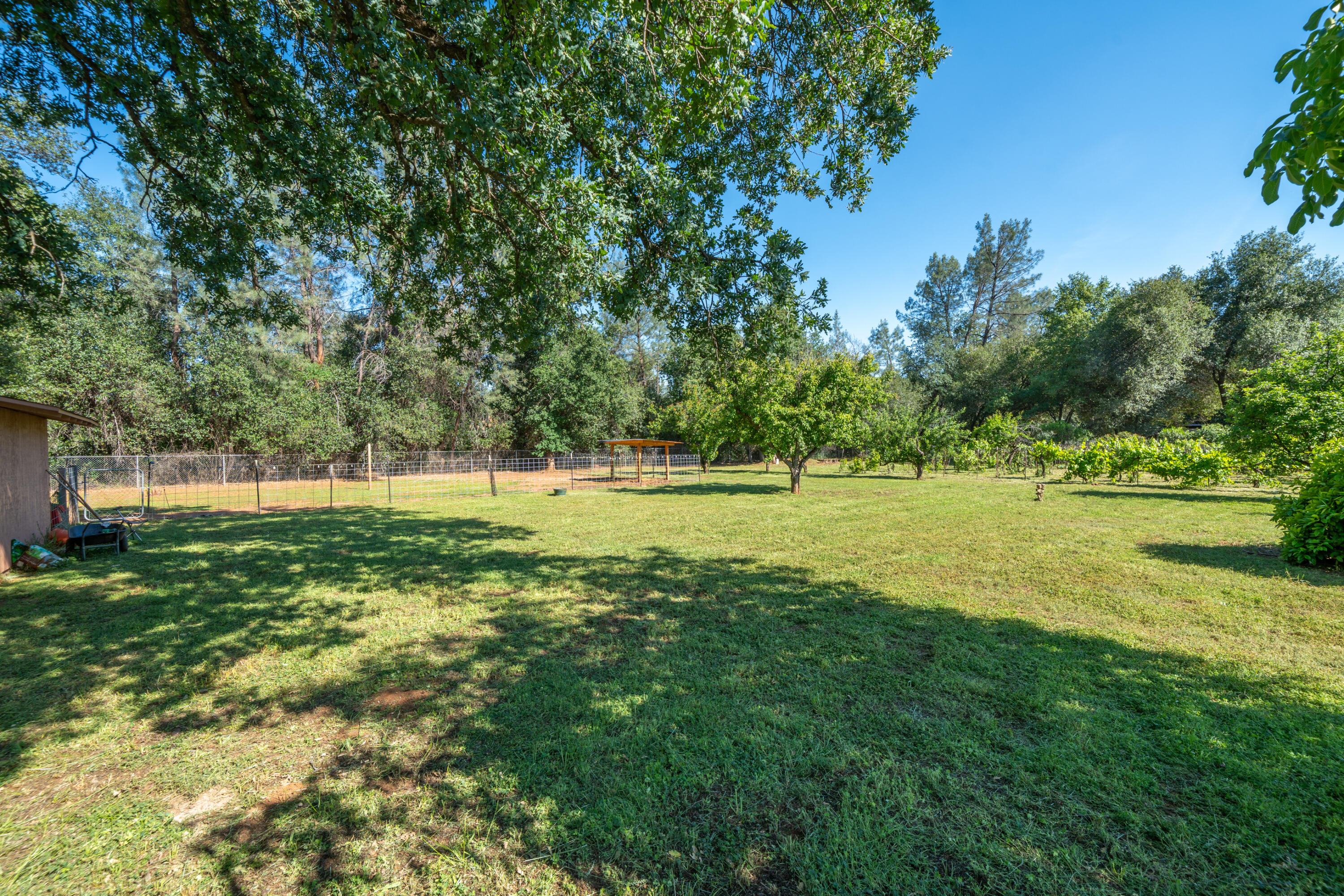 main property photo 64