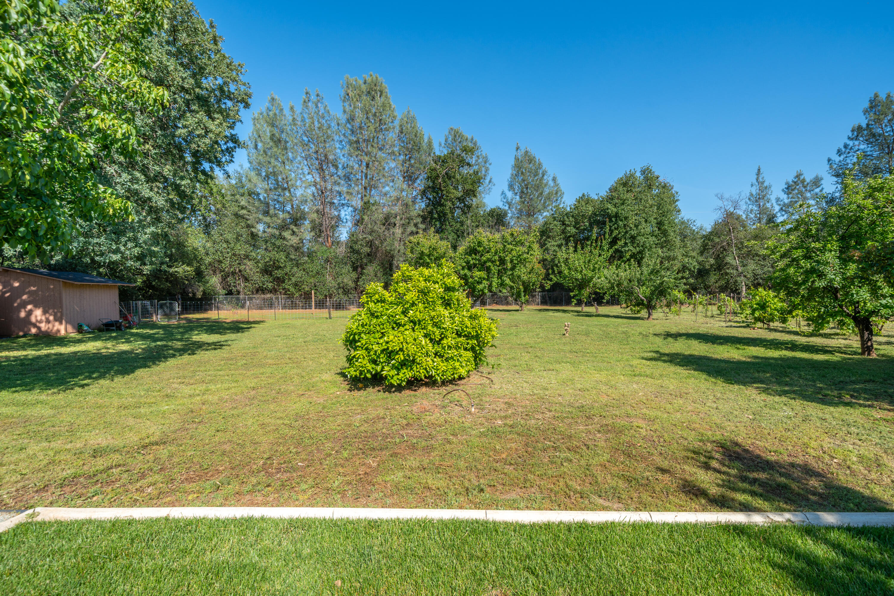 main property photo 65