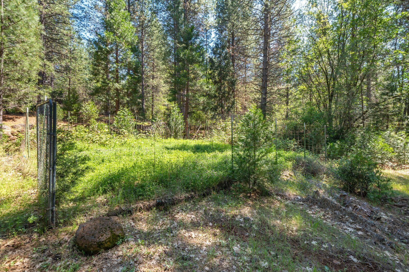 main property photo 56