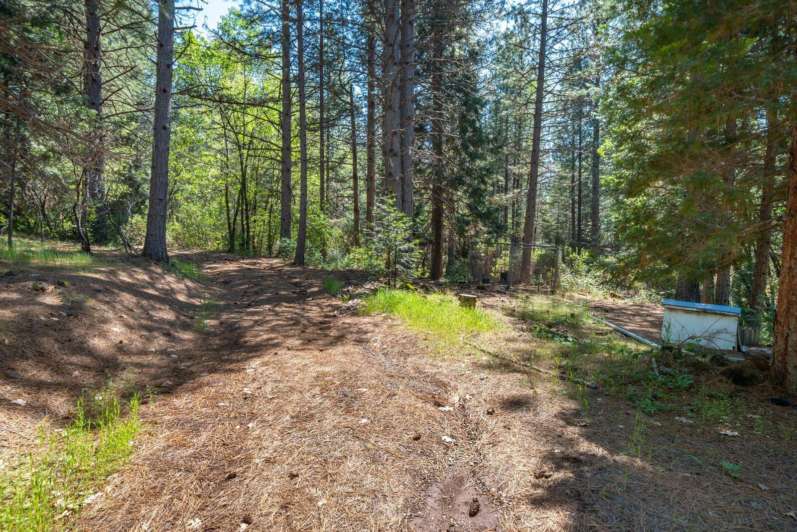 main property photo 57