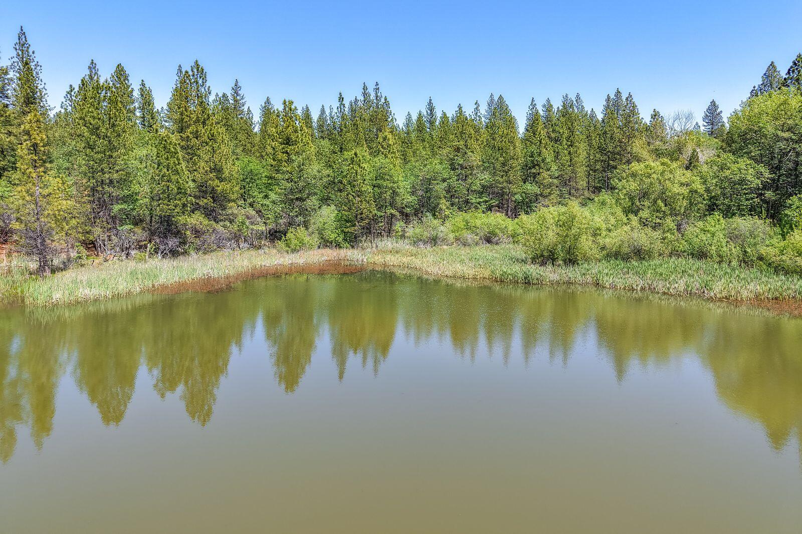 main property photo 63