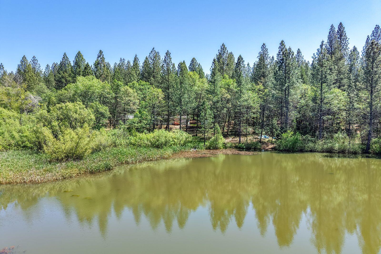 main property photo 64