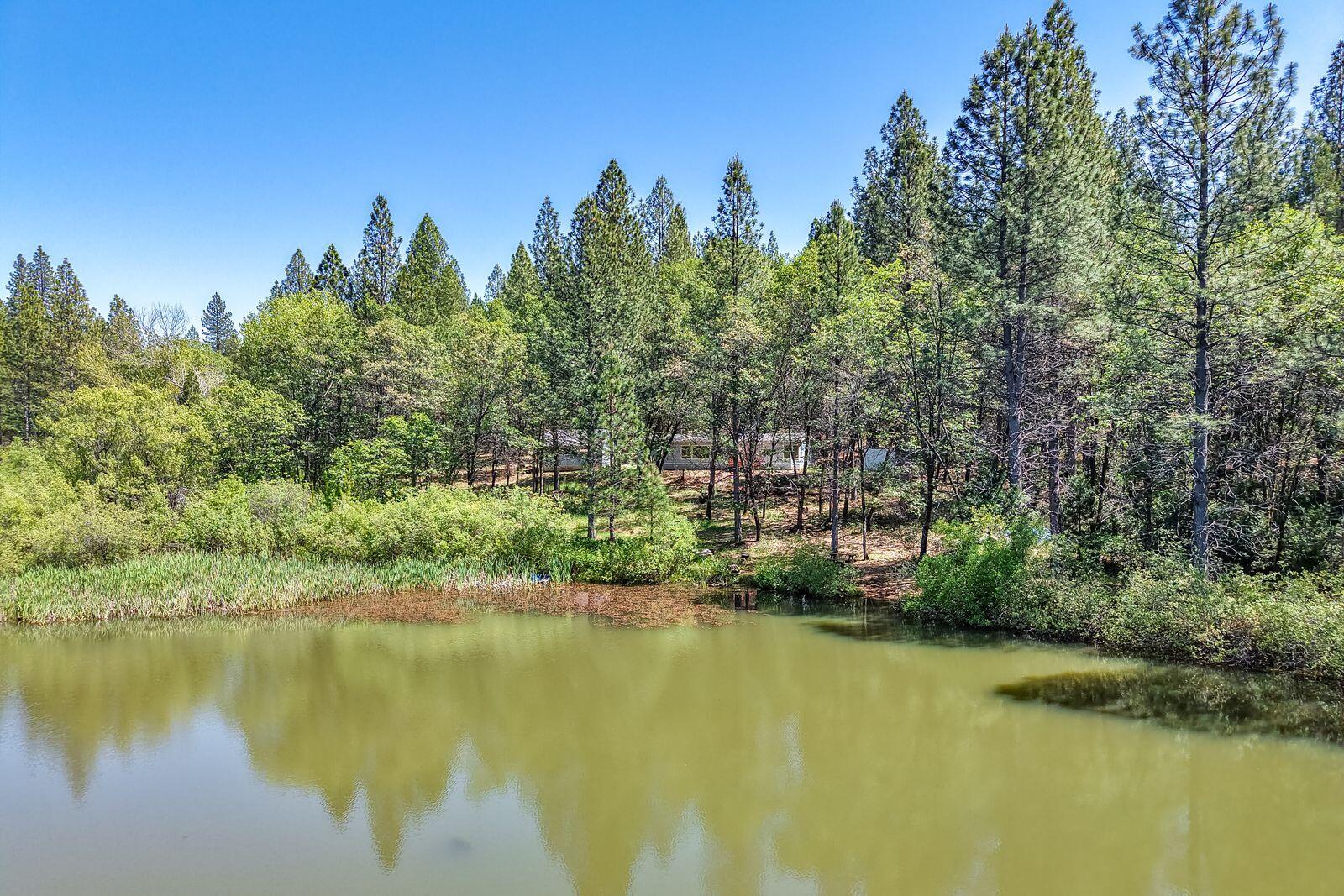 main property photo 65