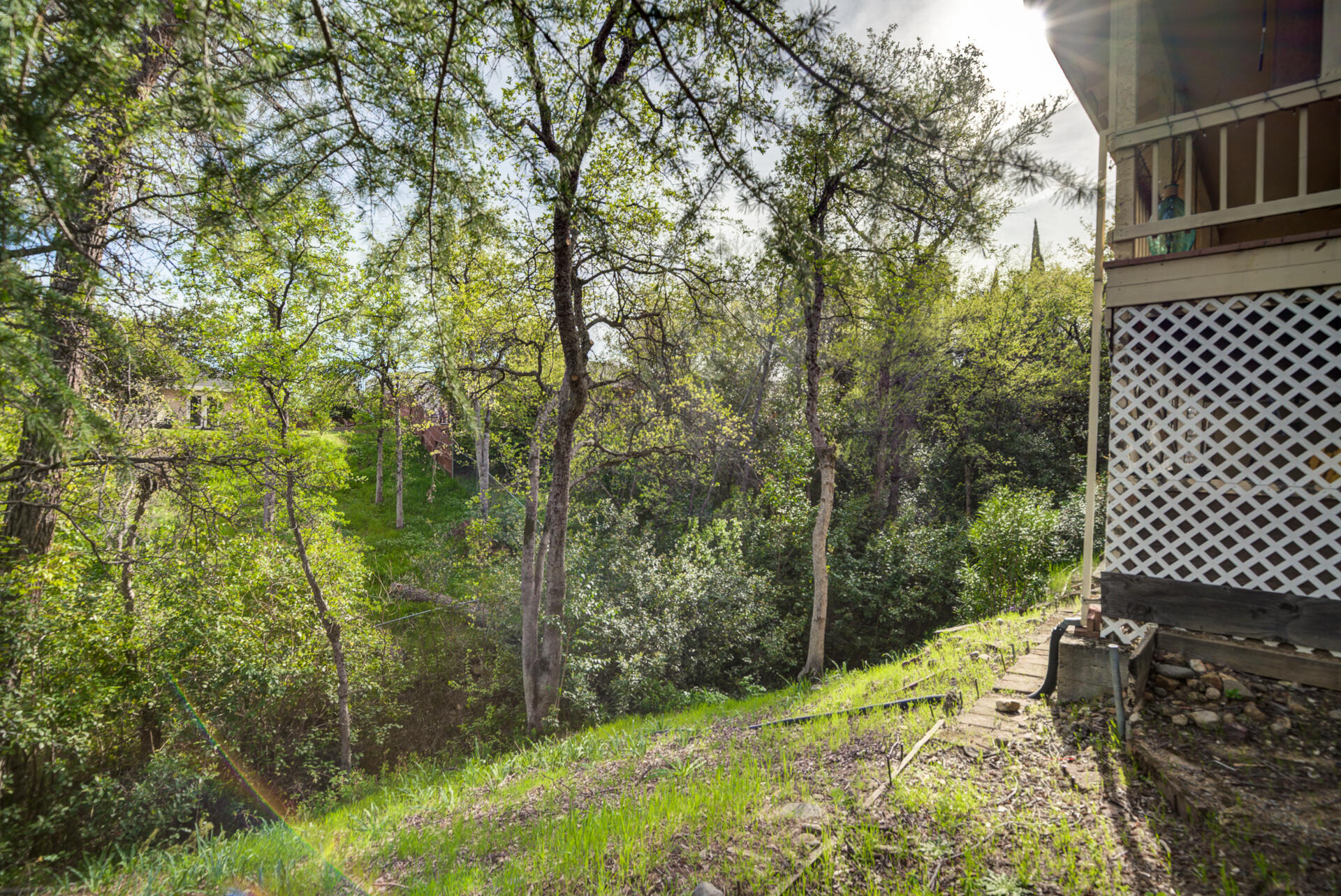 main property photo 53
