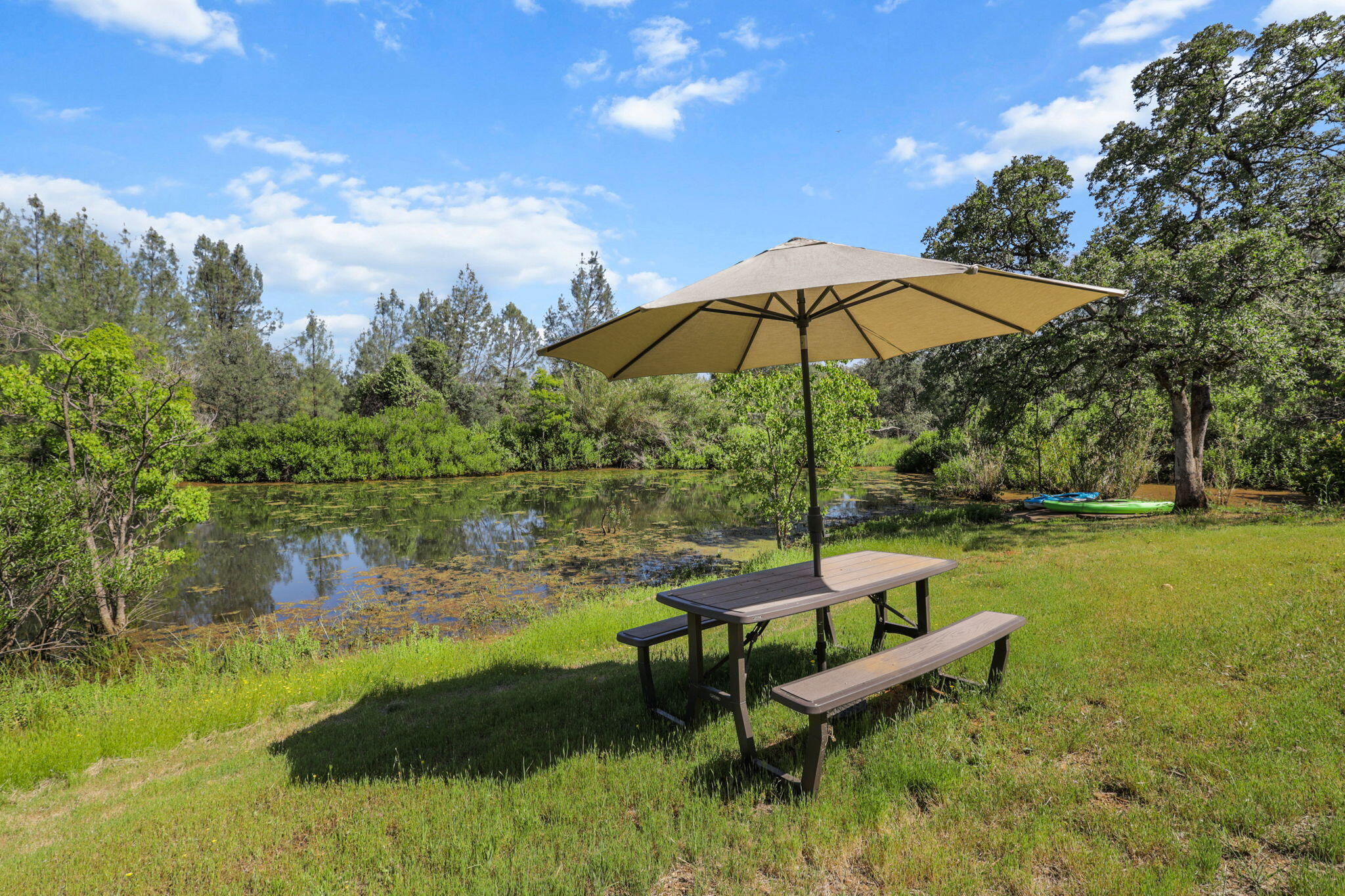 main property photo 46