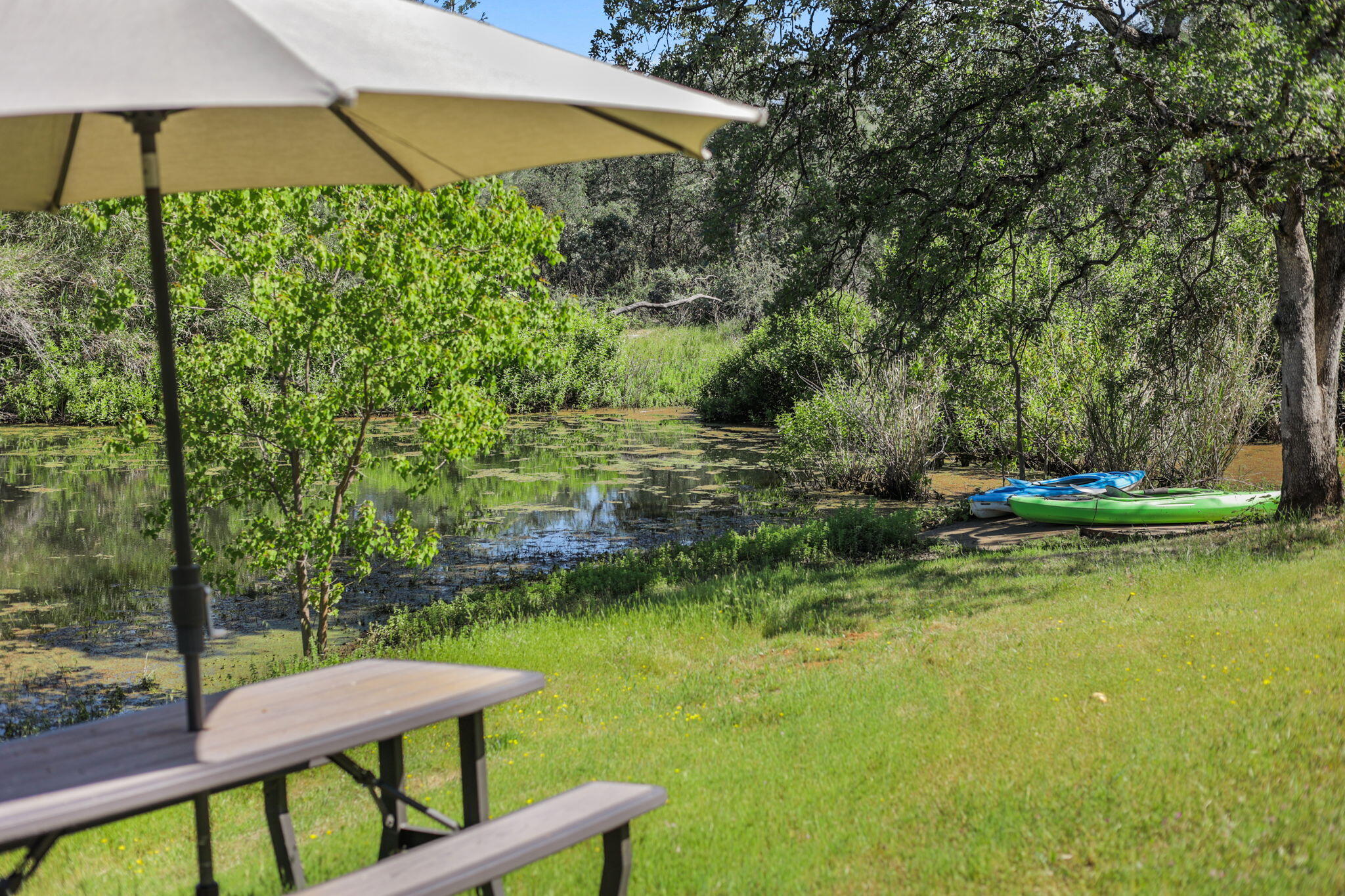 main property photo 47