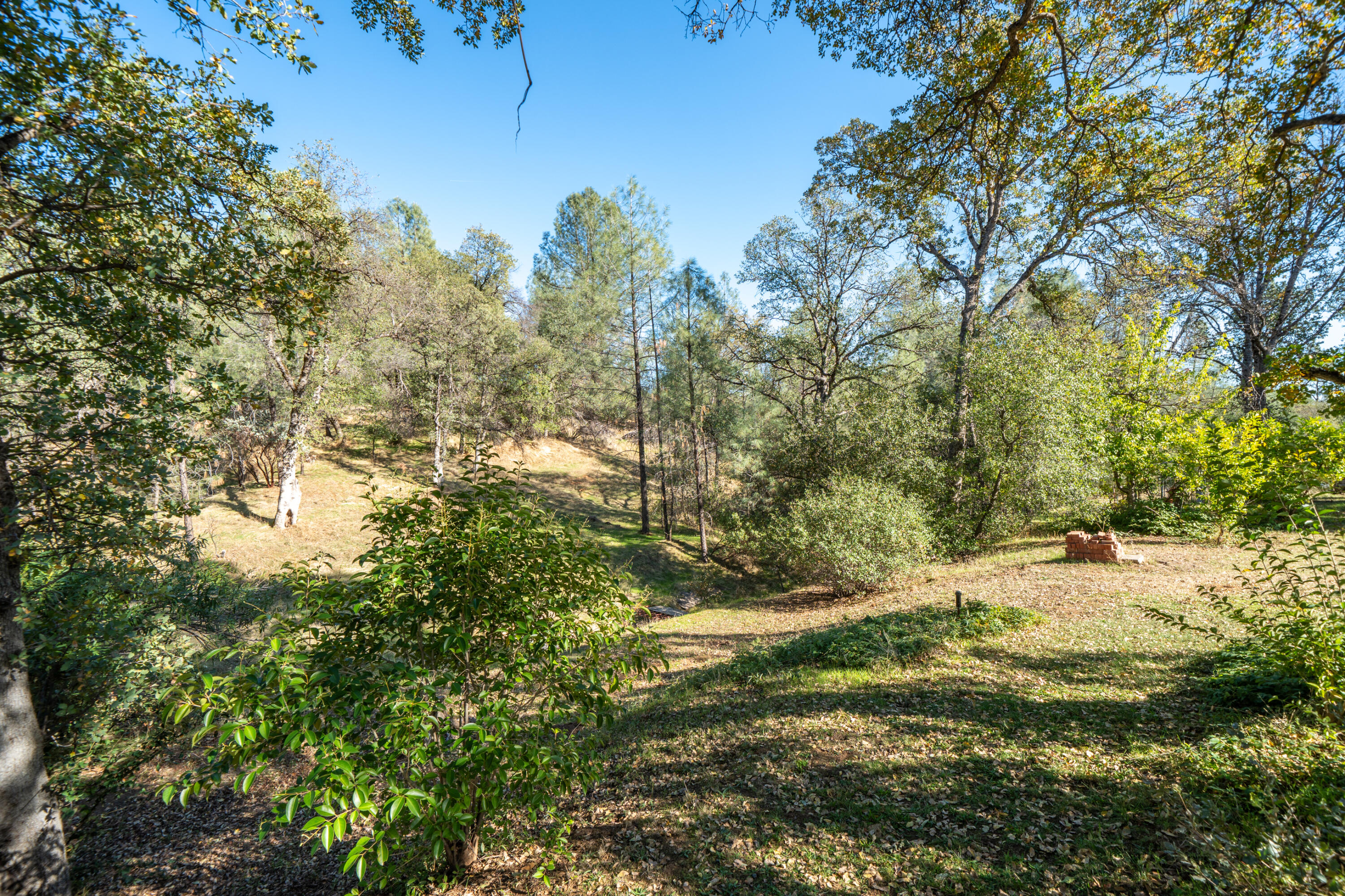 main property photo 41