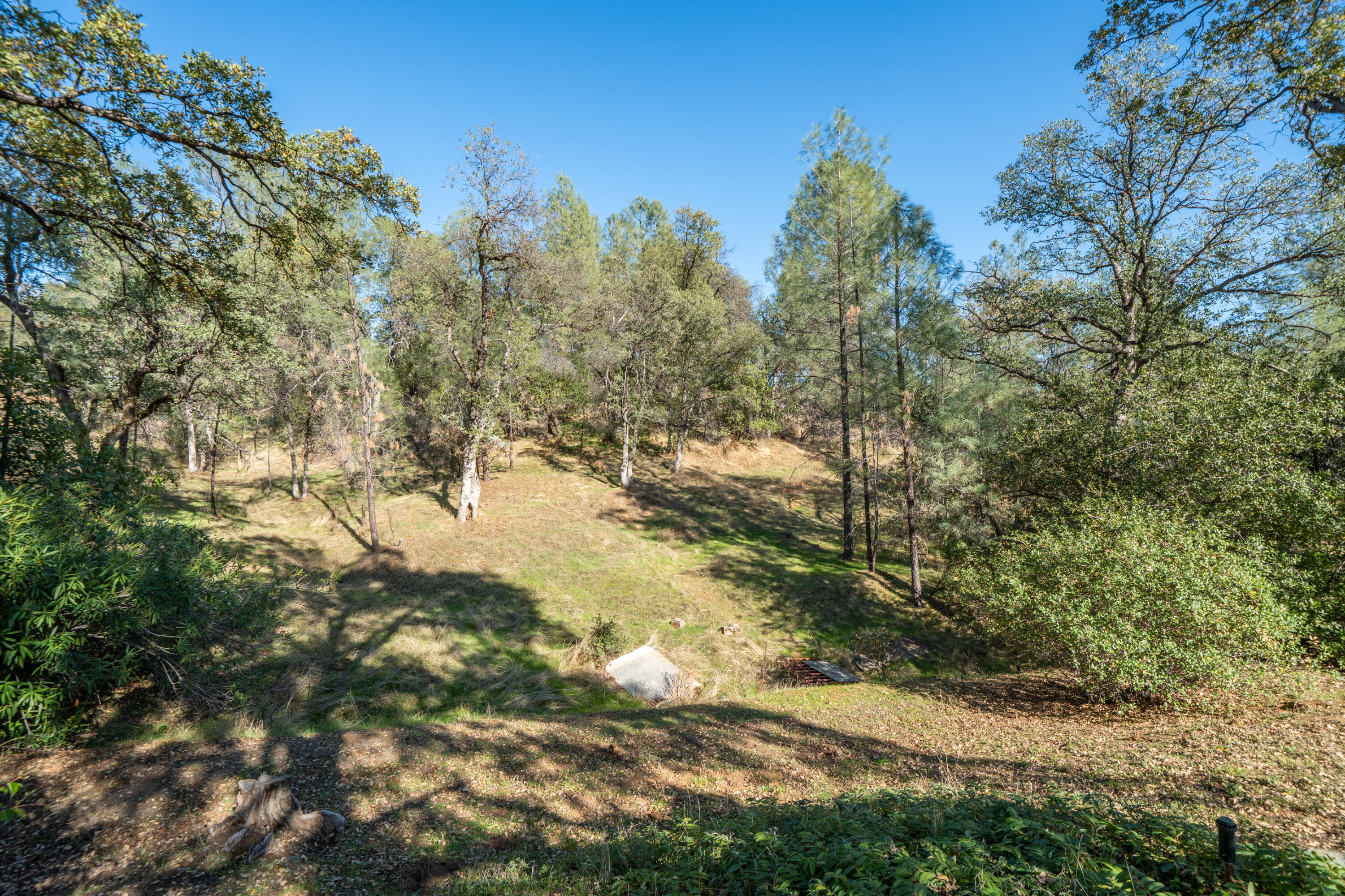 main property photo 42