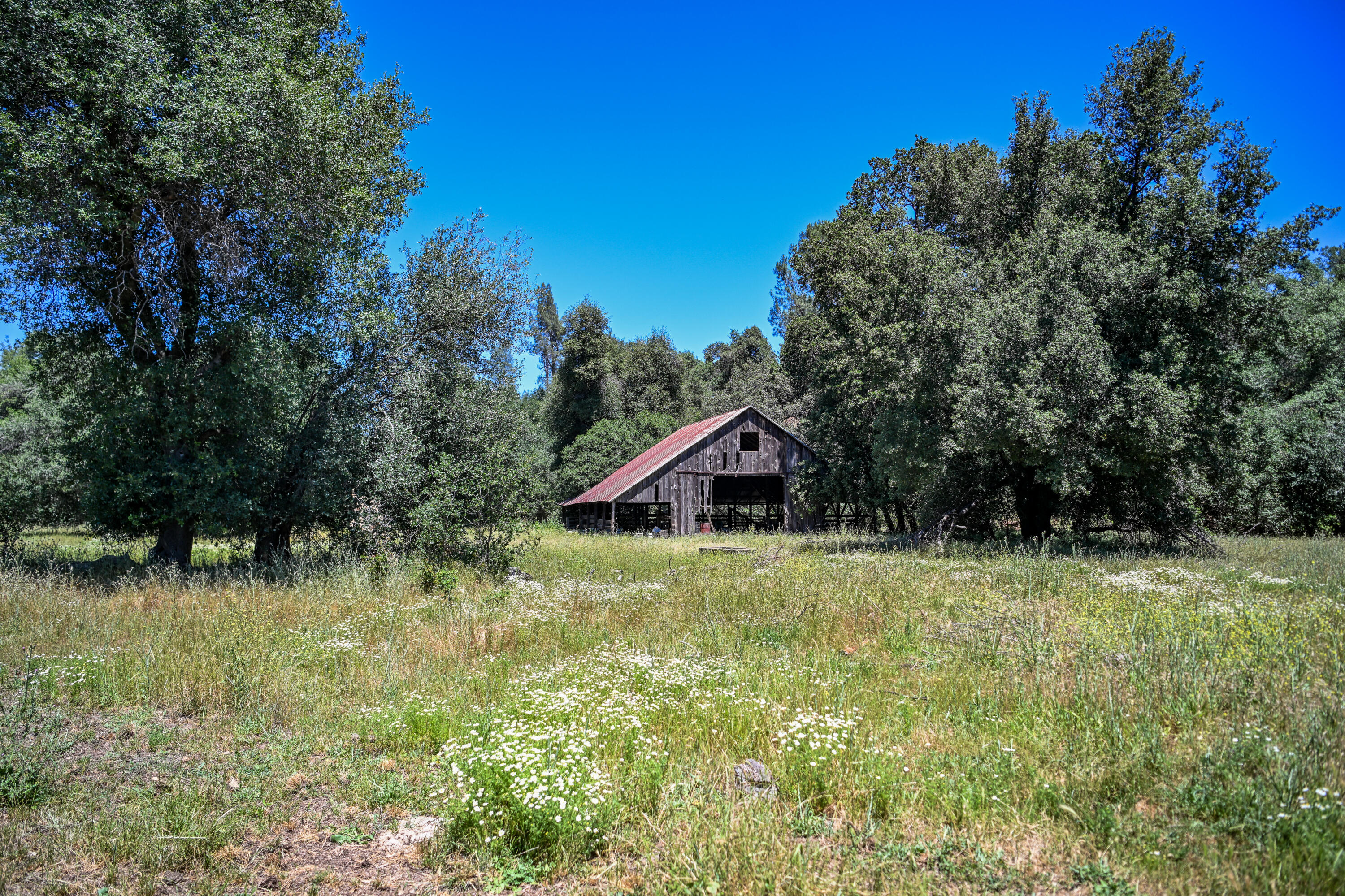main property photo 20