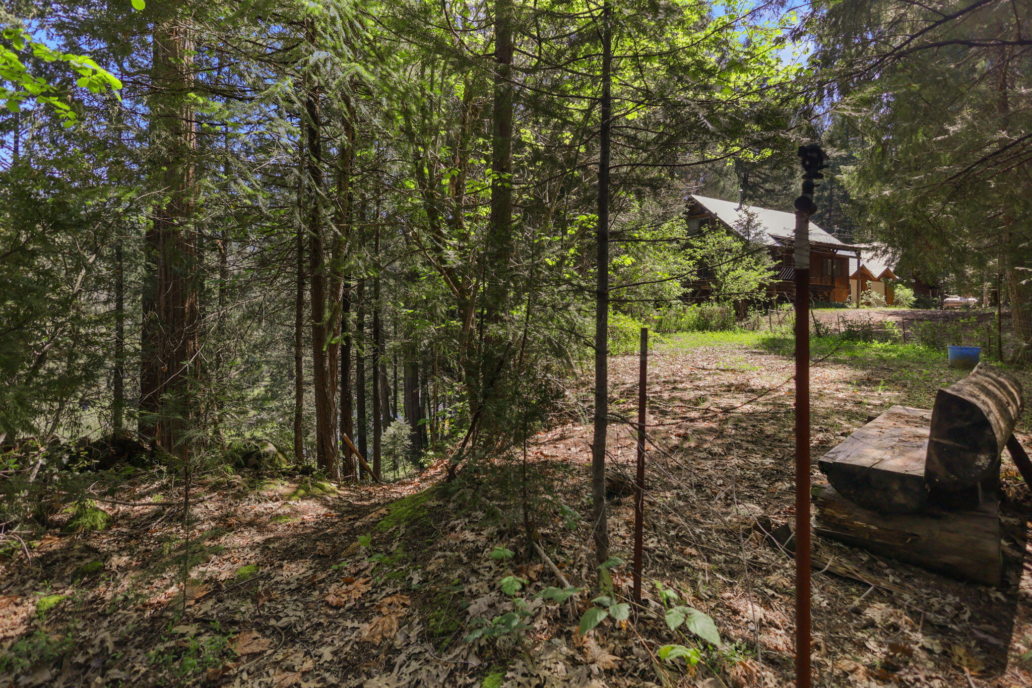 main property photo 135