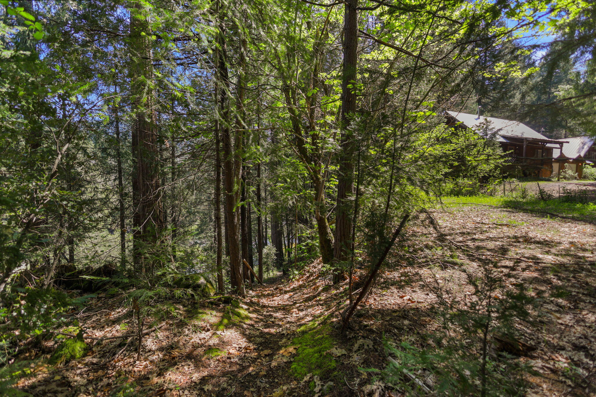 main property photo 136
