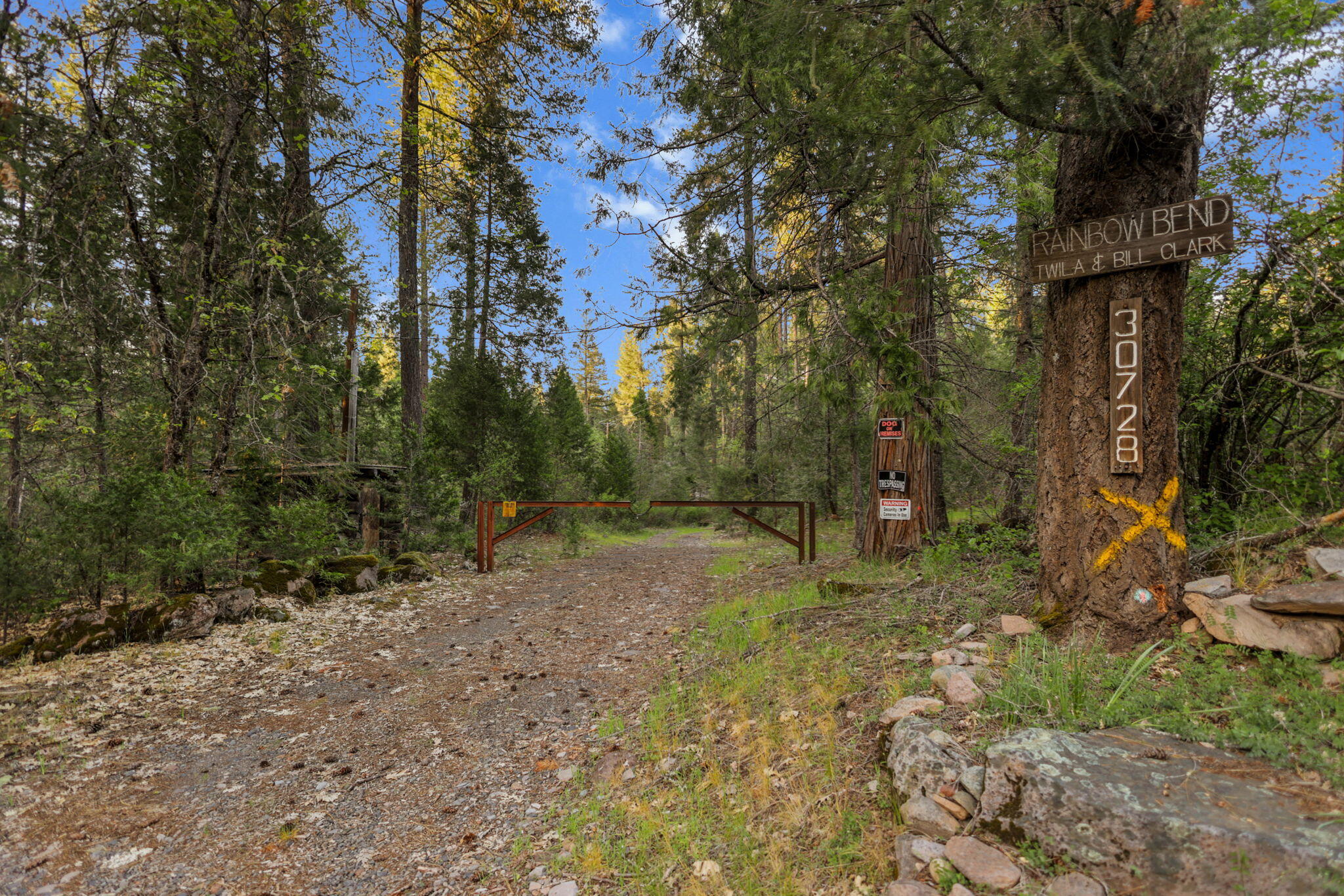 main property photo 141