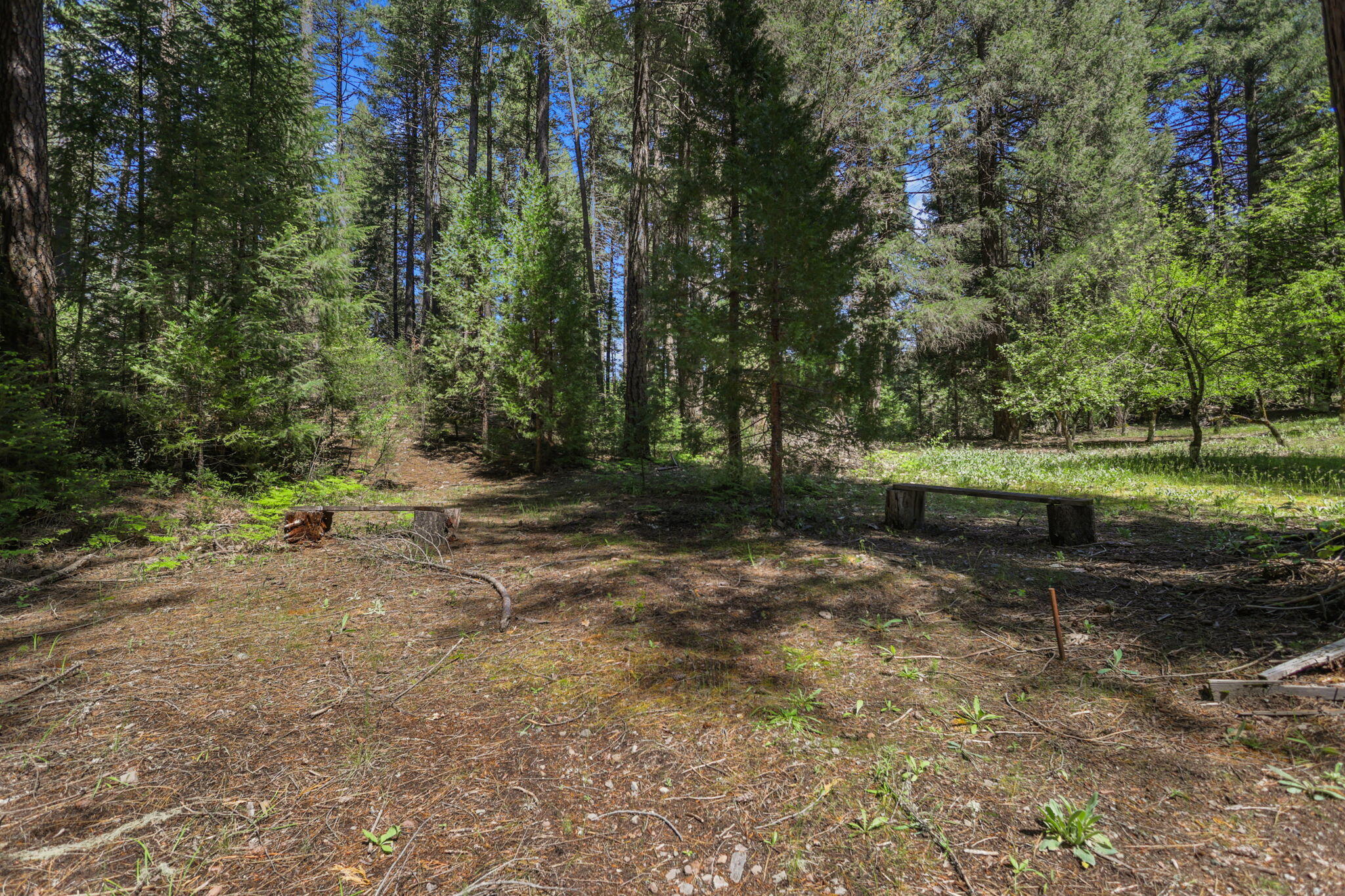main property photo 143