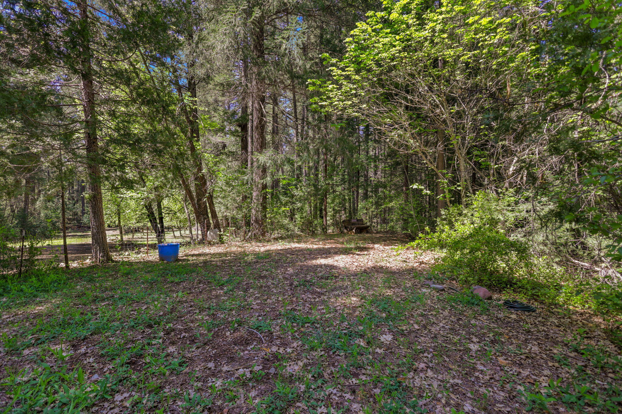 main property photo 144