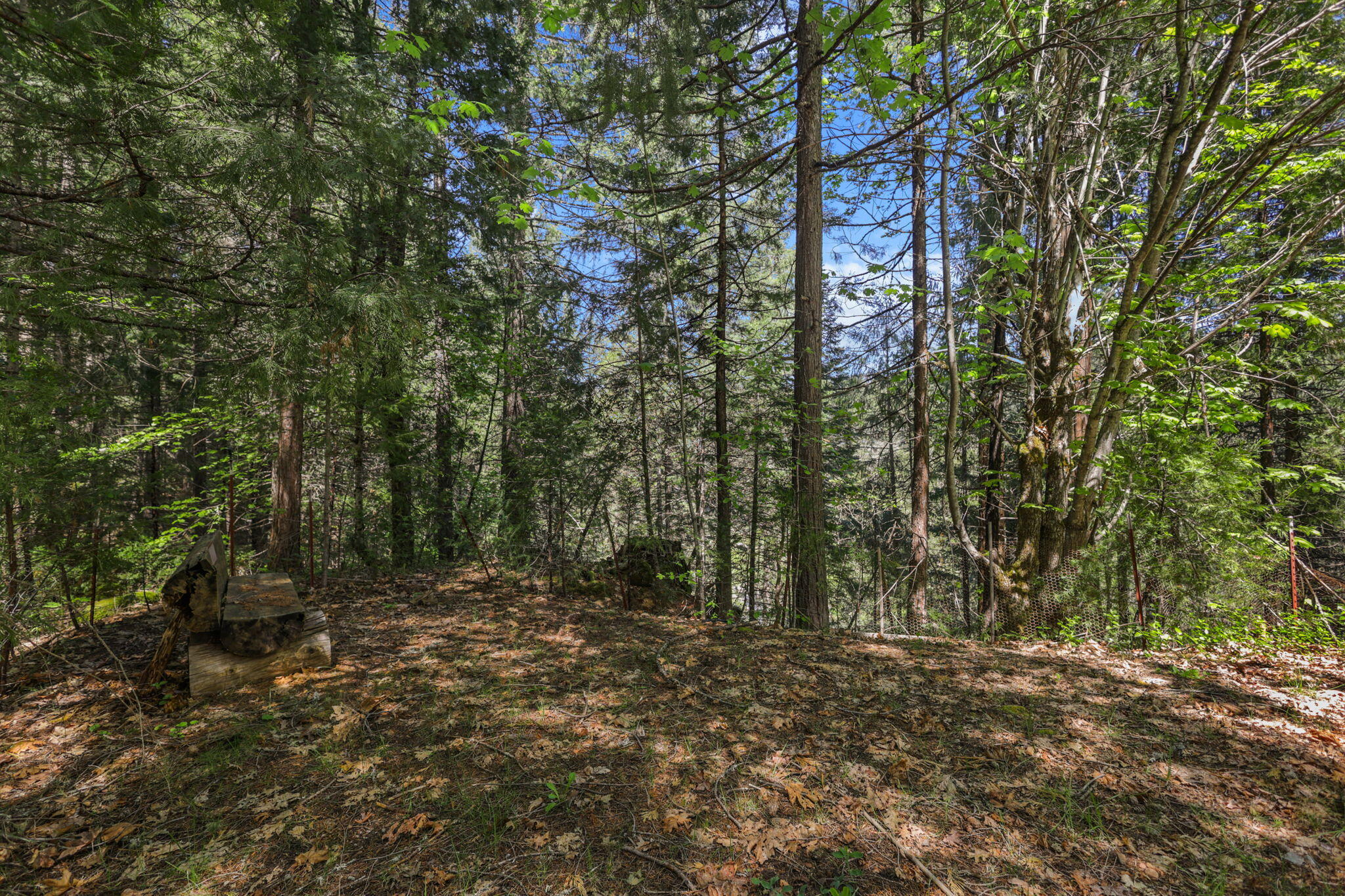 main property photo 146