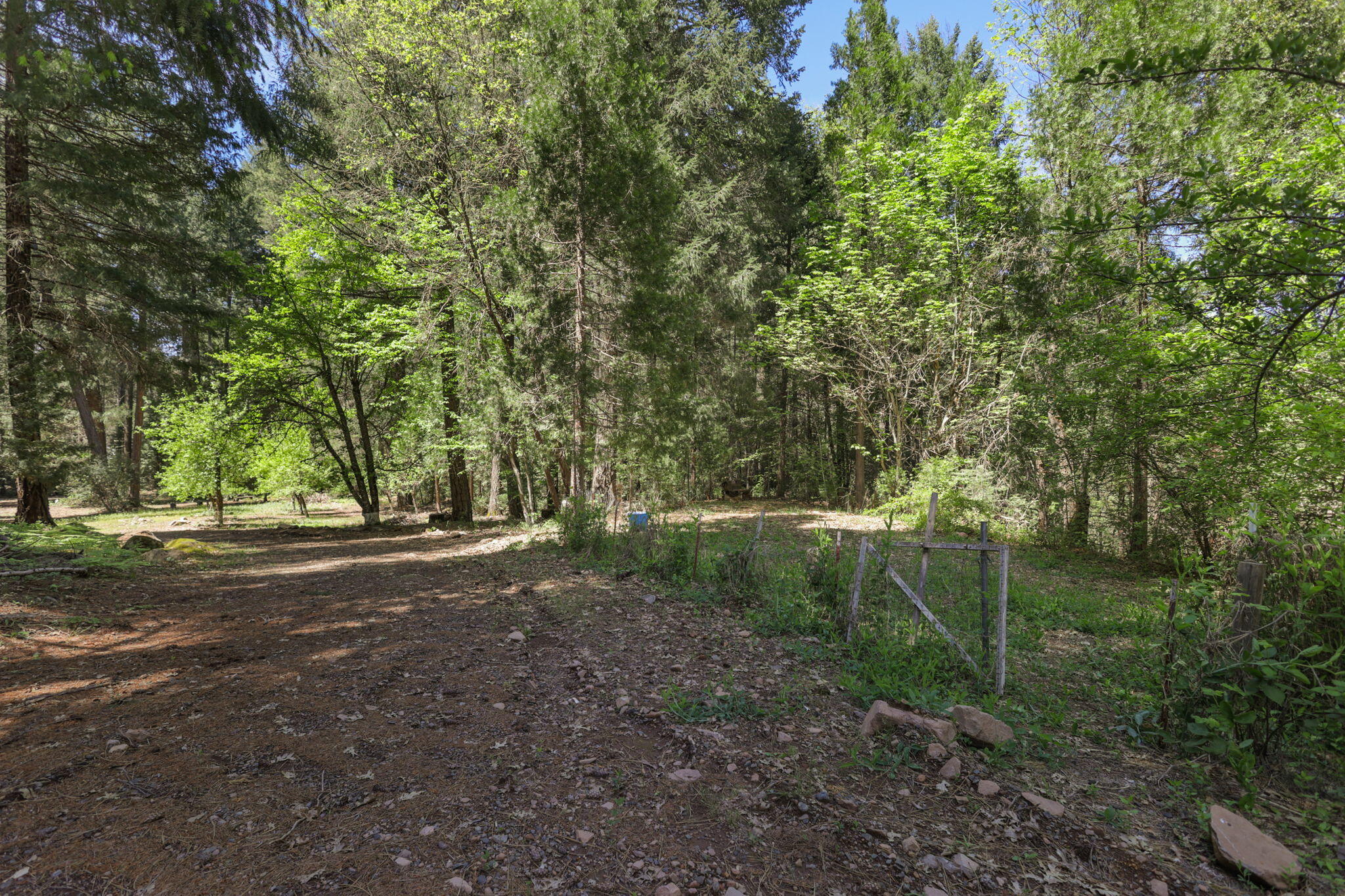 main property photo 50