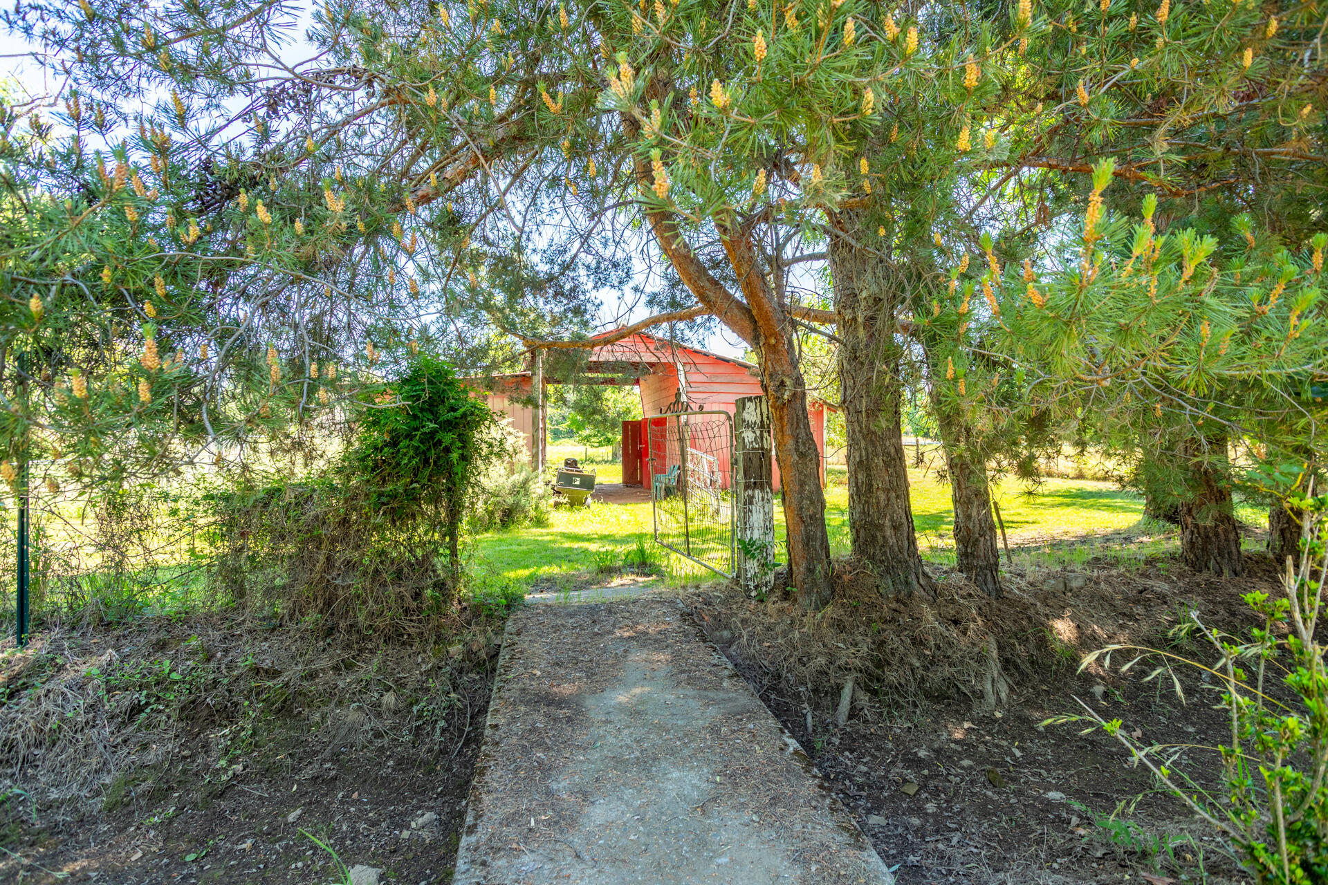 main property photo 22