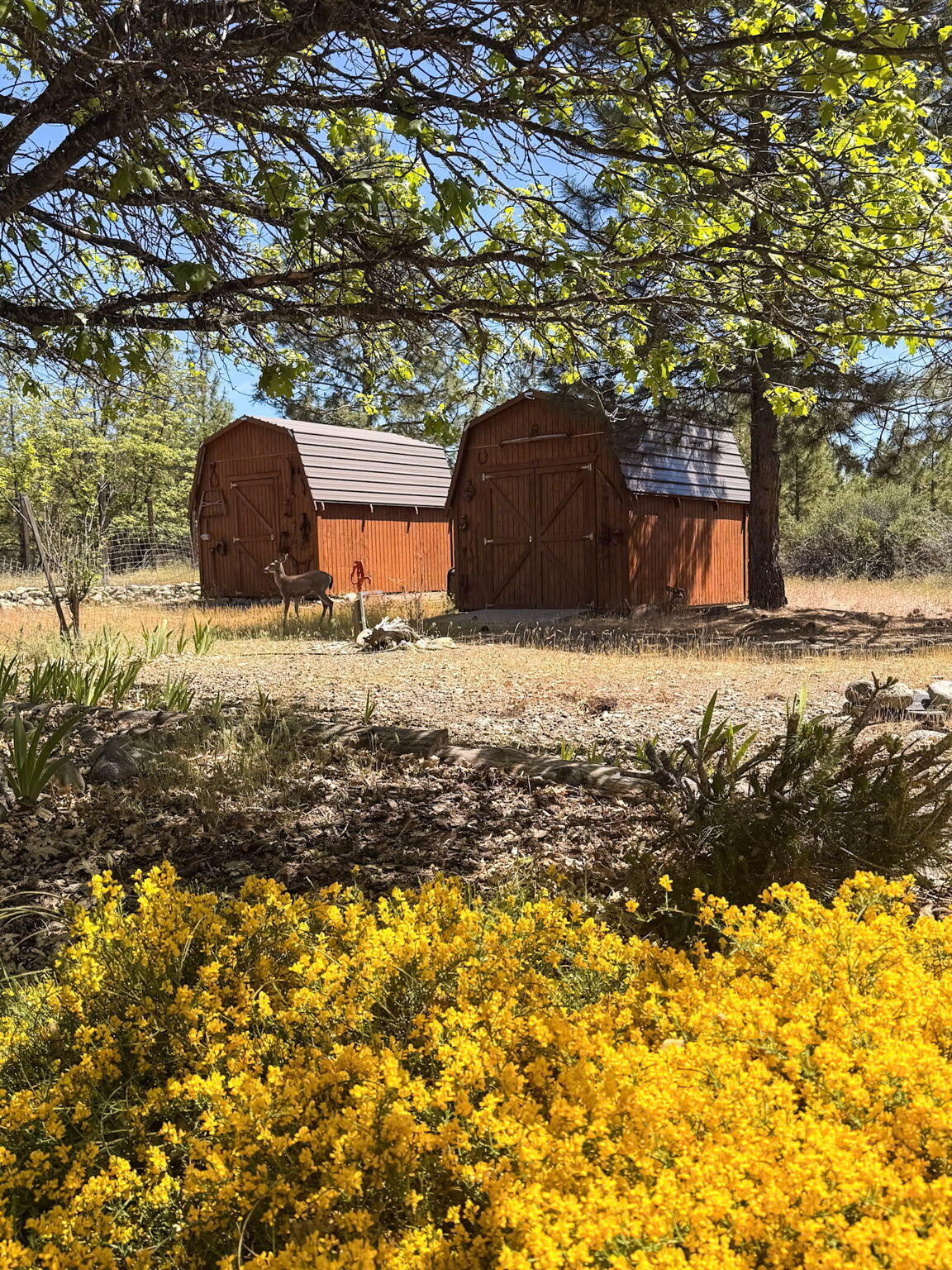 main property photo 40