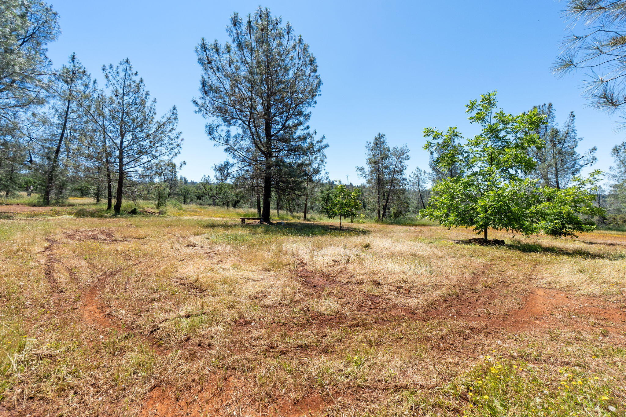 main property photo 41