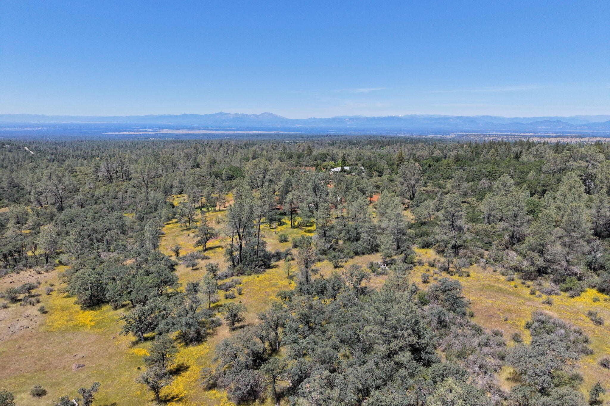 main property photo 74