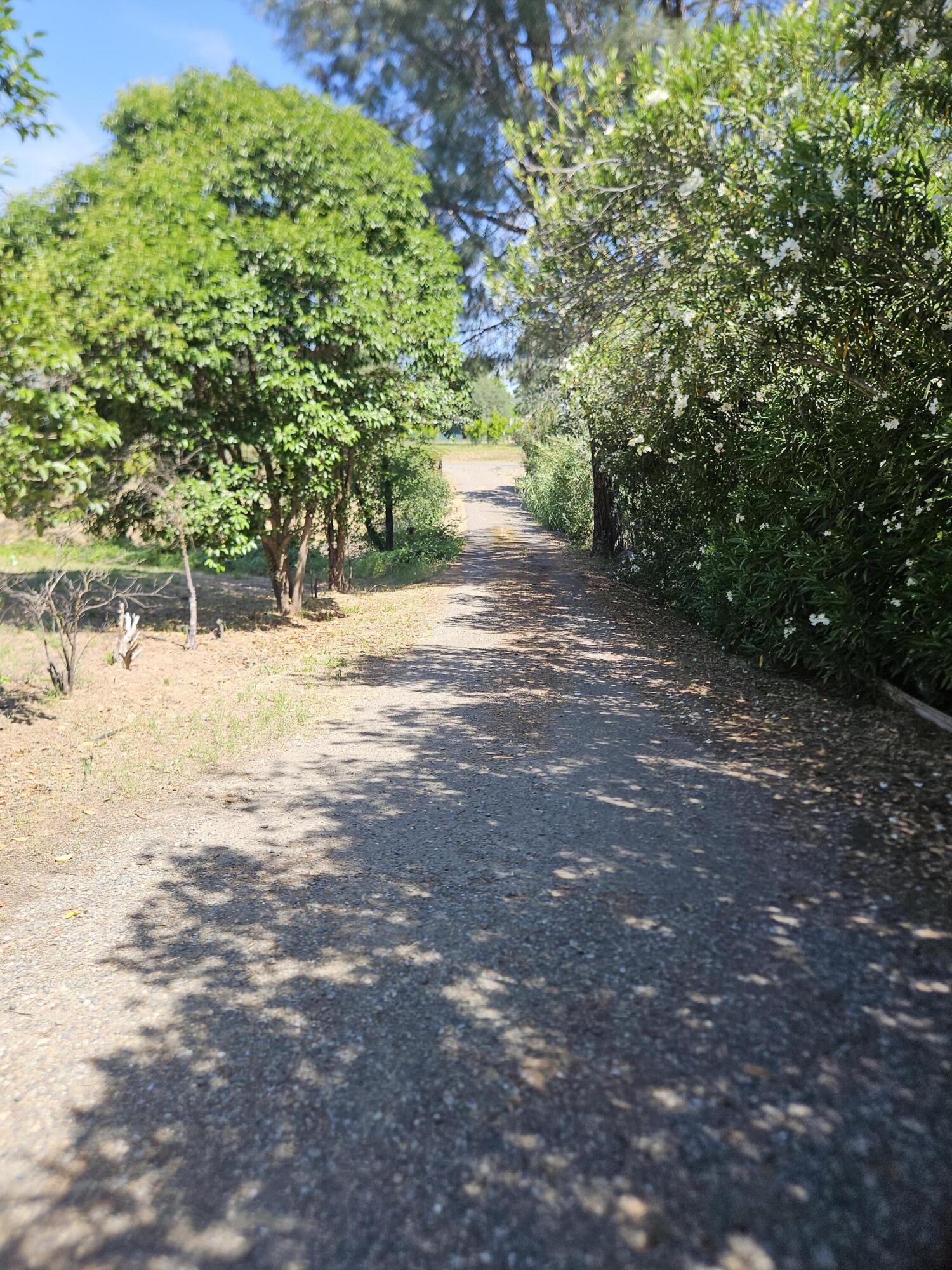 main property photo 53
