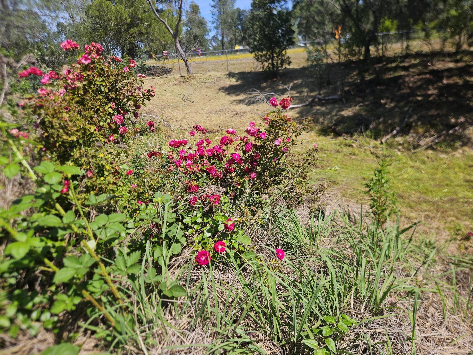 main property photo 56