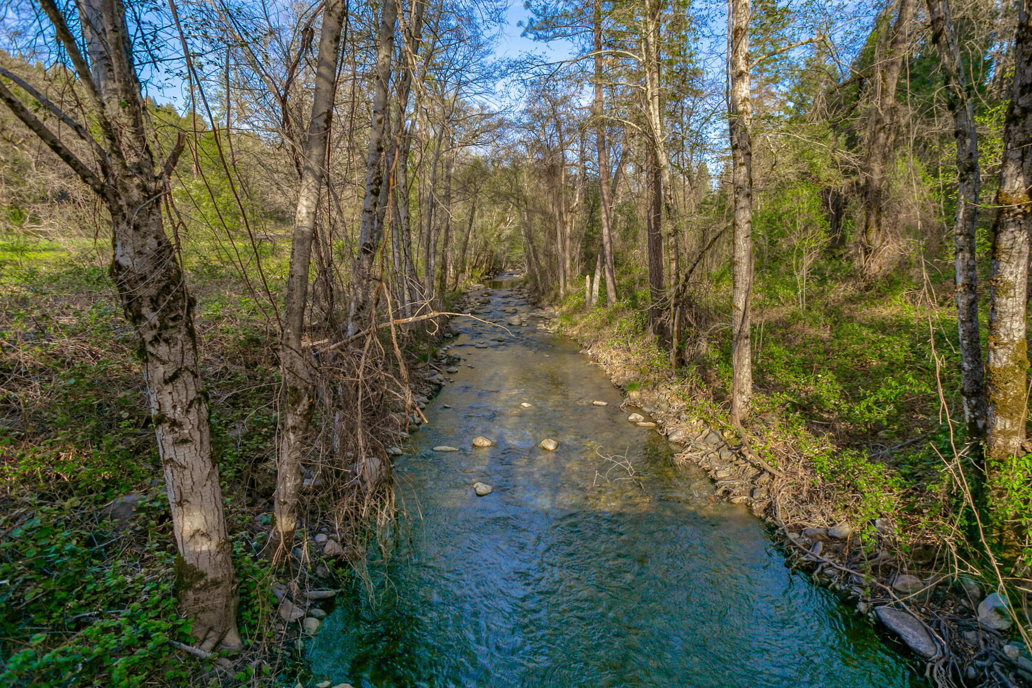 main property photo 51