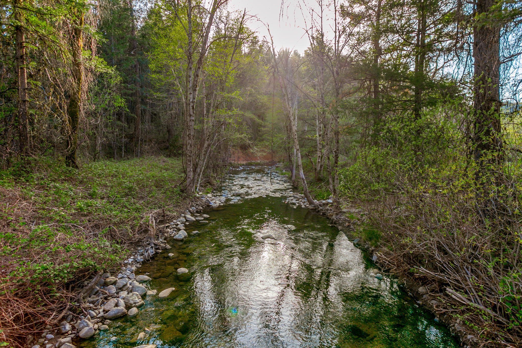 main property photo 52