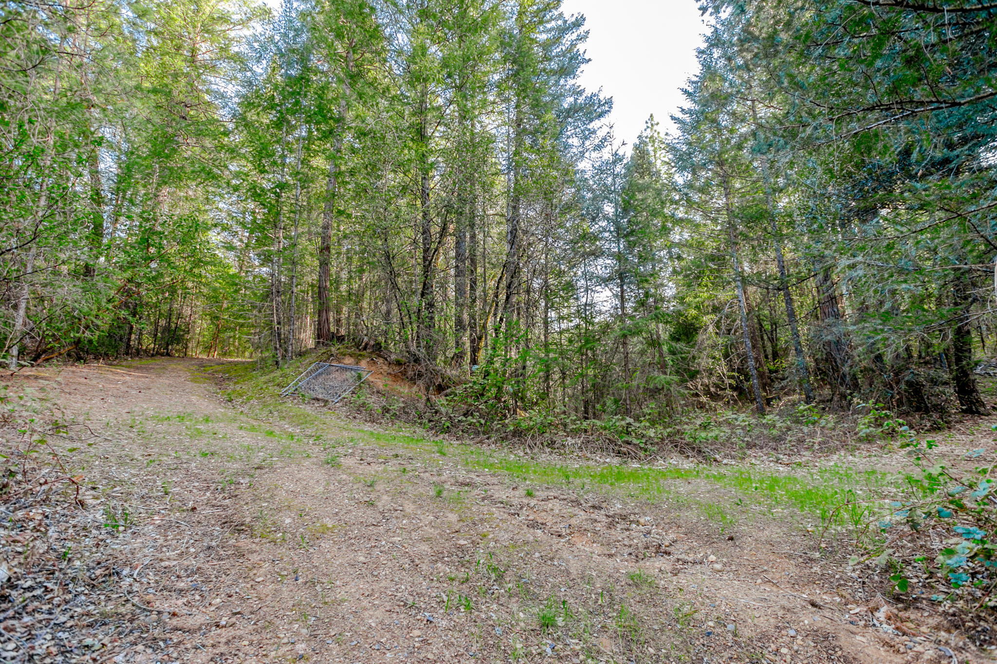 main property photo 54