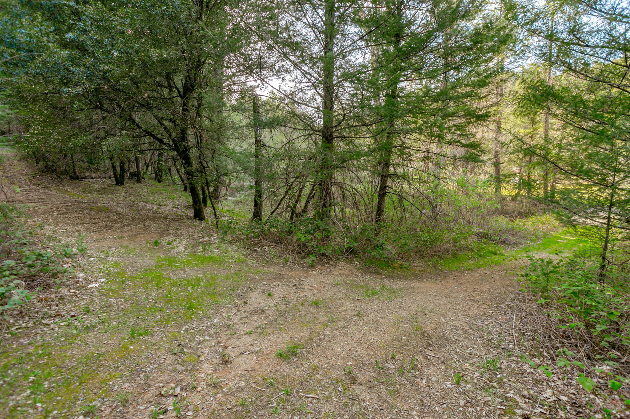 main property photo 56