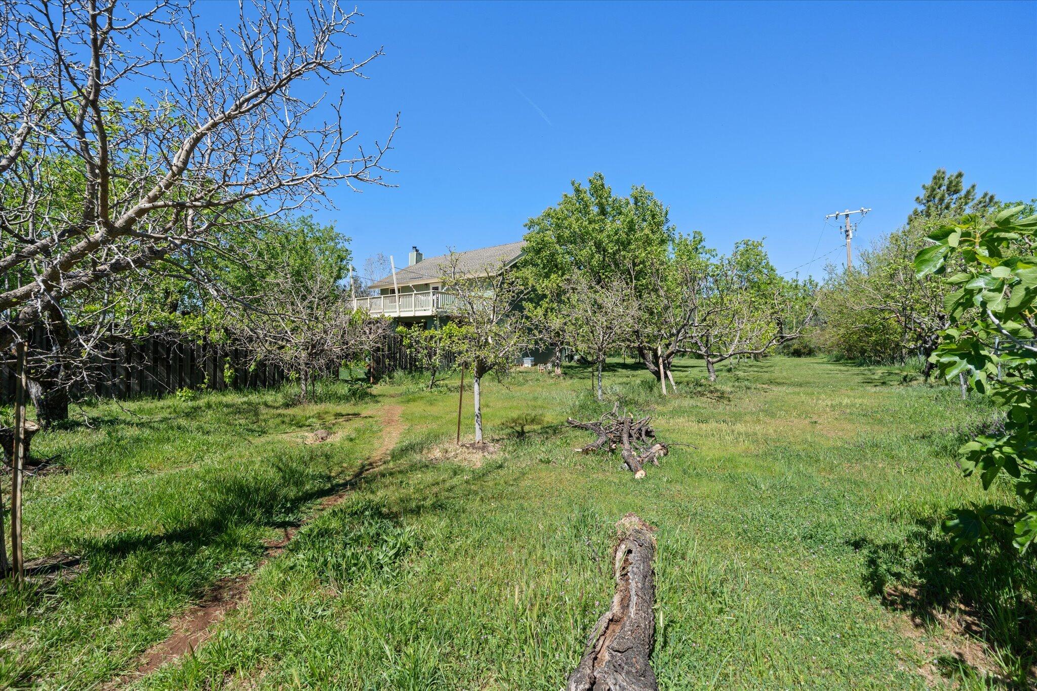 main property photo 50