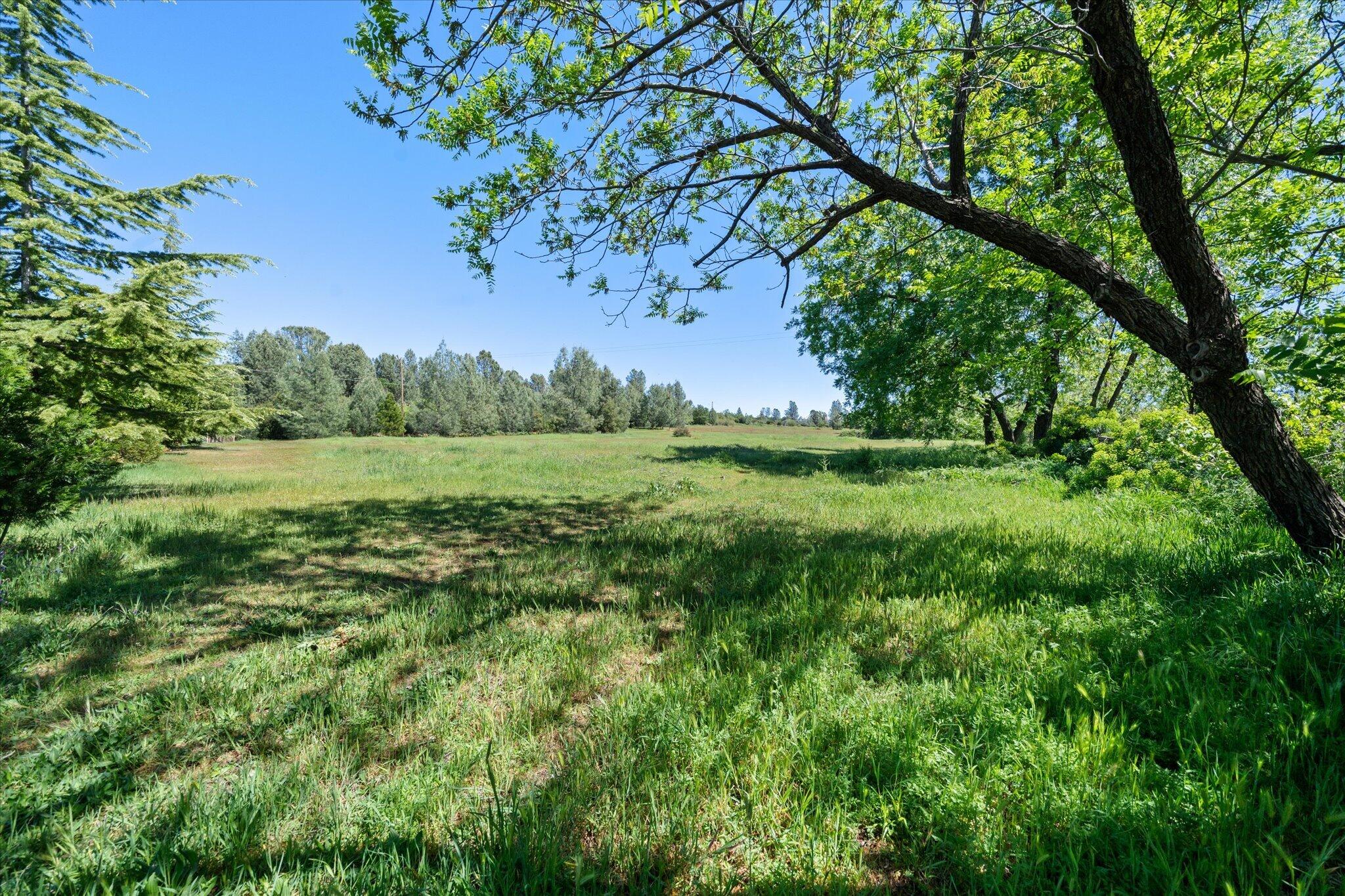 main property photo 51
