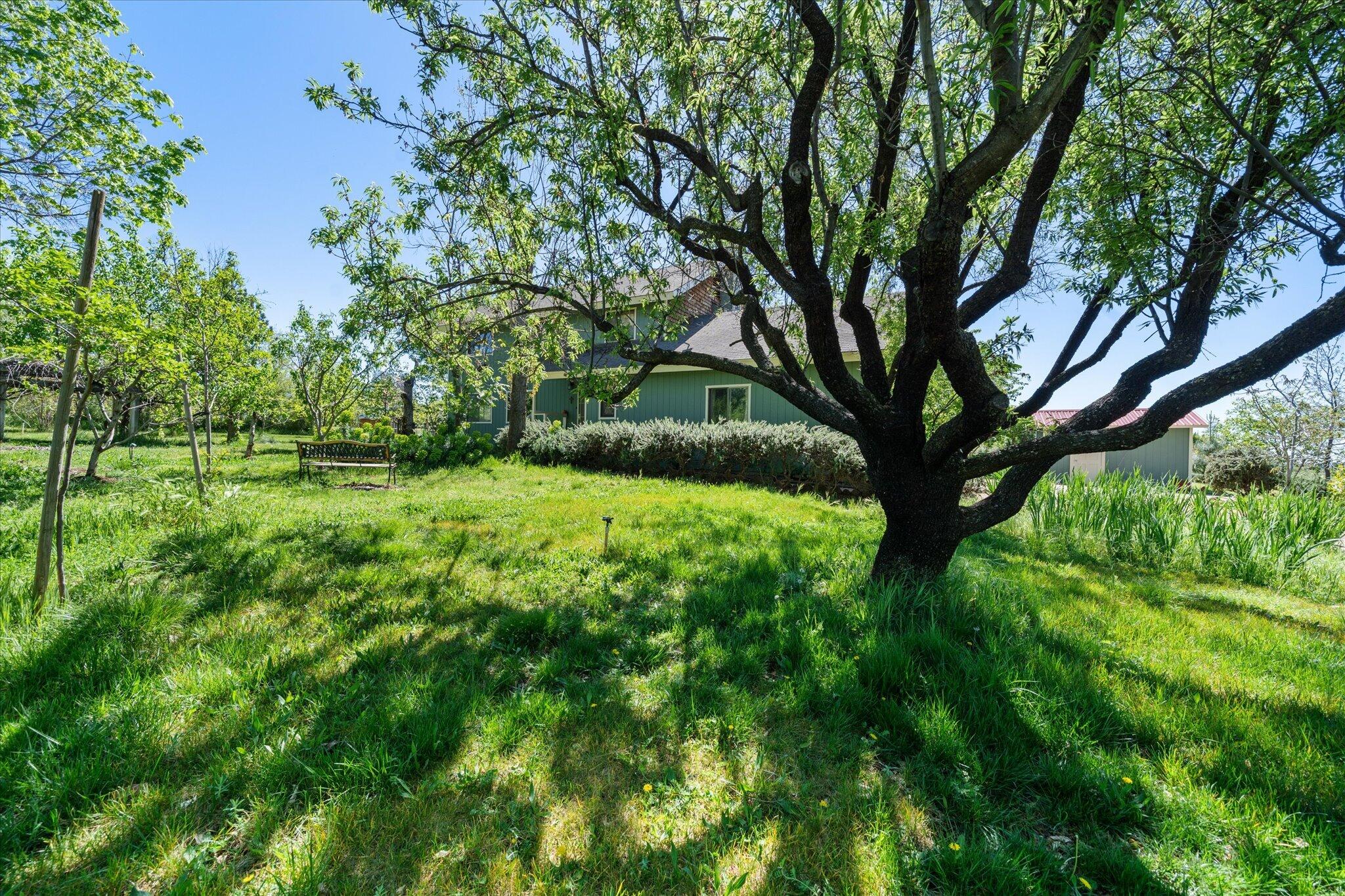 main property photo 55