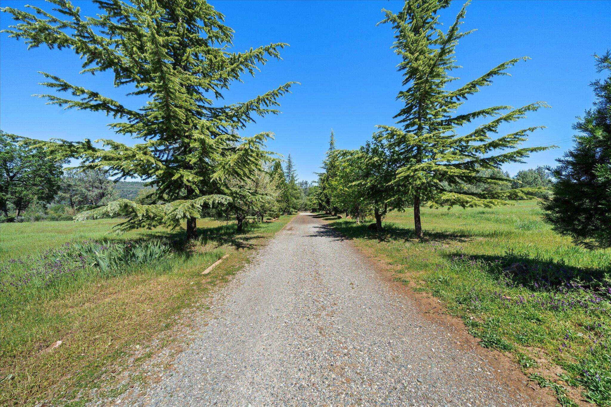 main property photo 56