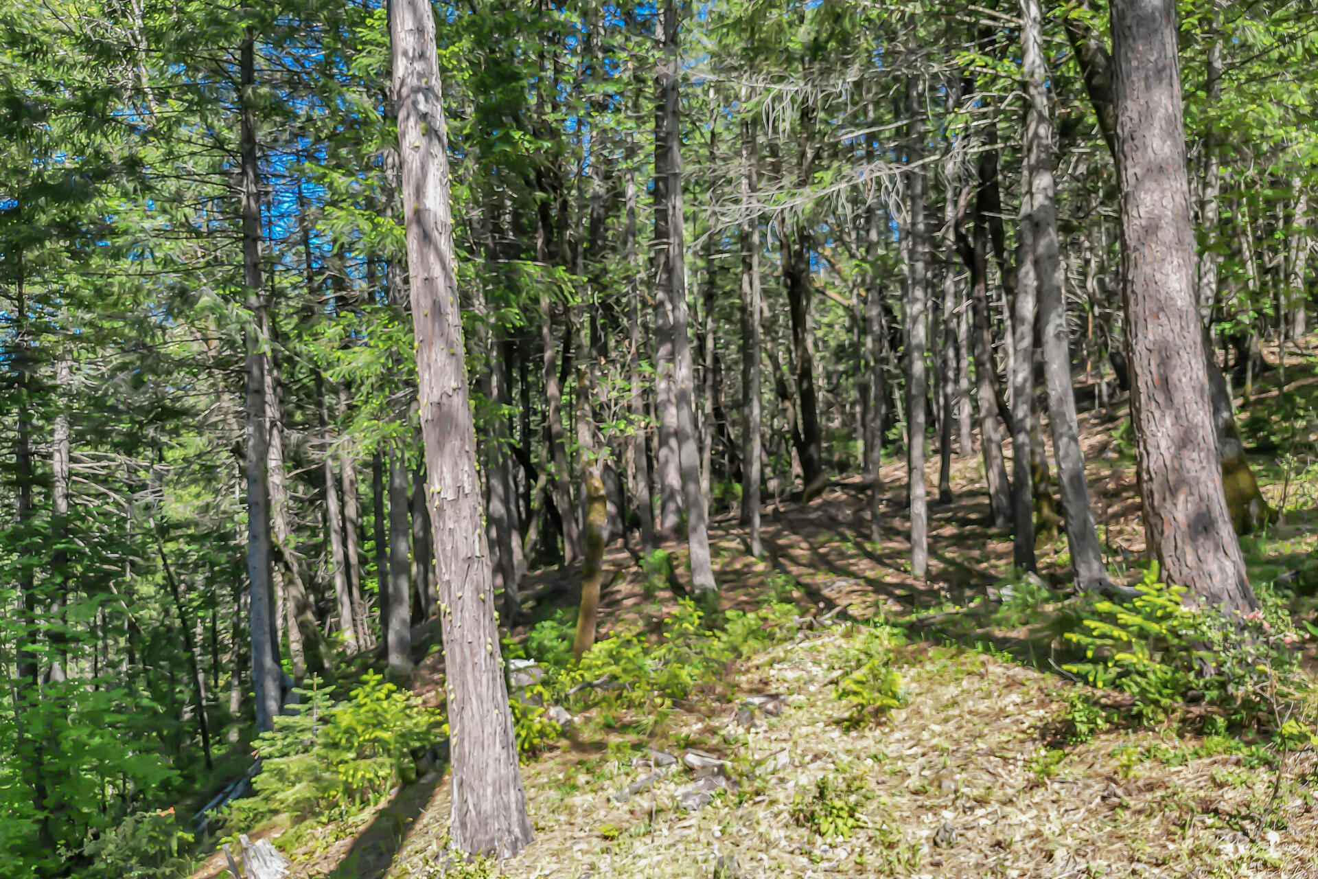 main property photo 23