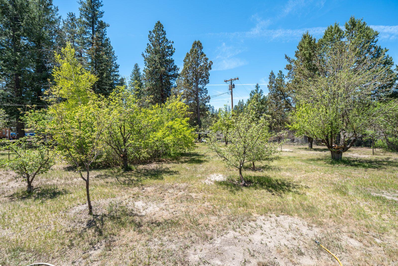 main property photo 120