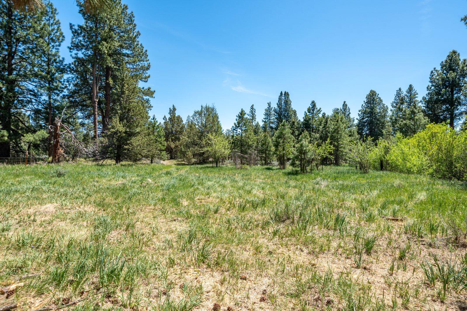 main property photo 127