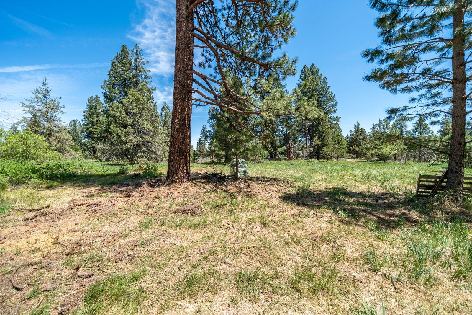 main property photo 129
