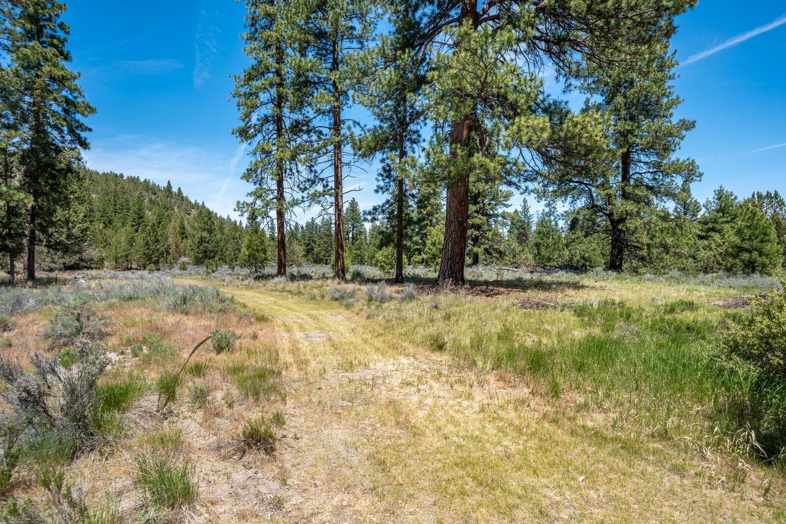 main property photo 130