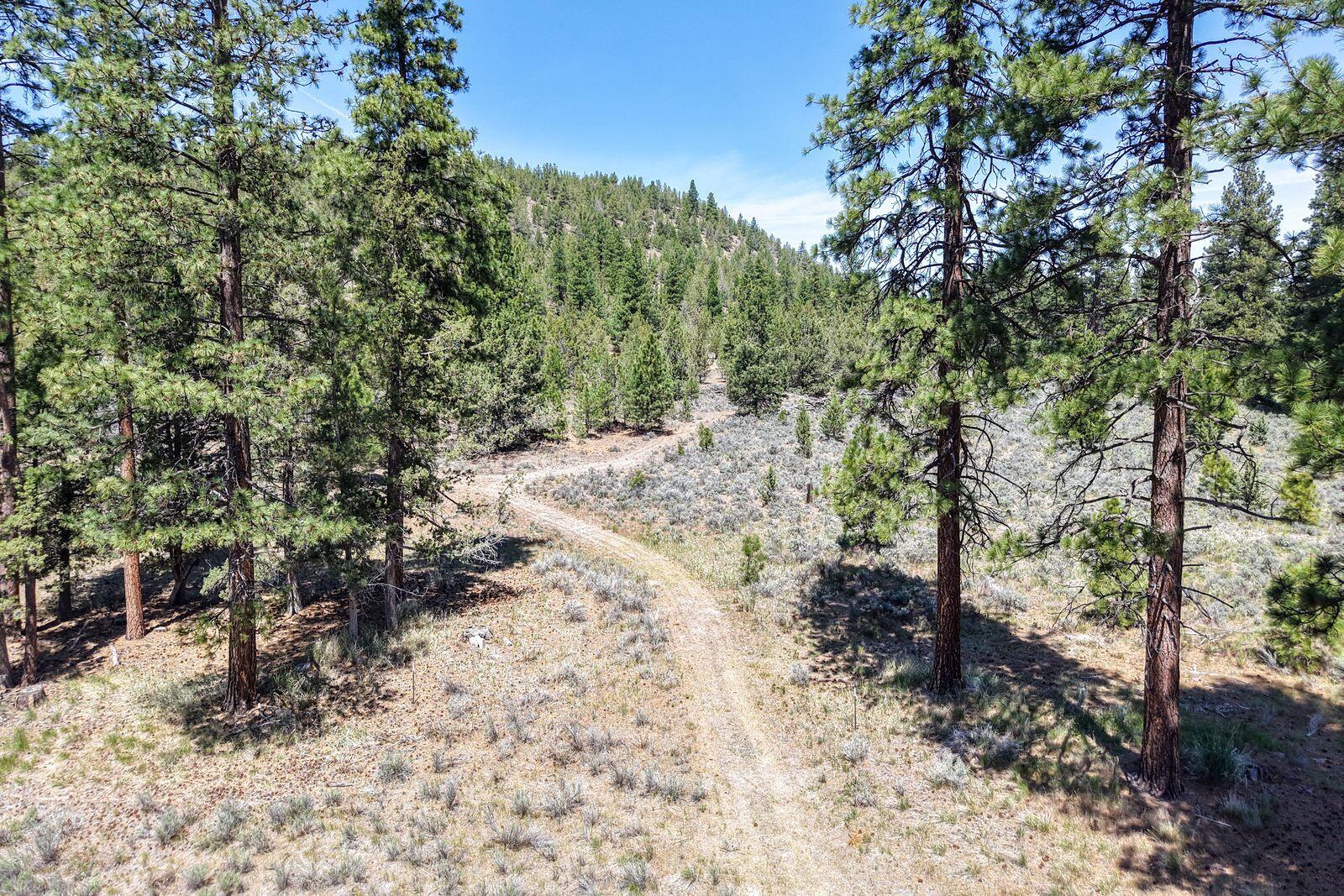main property photo 138