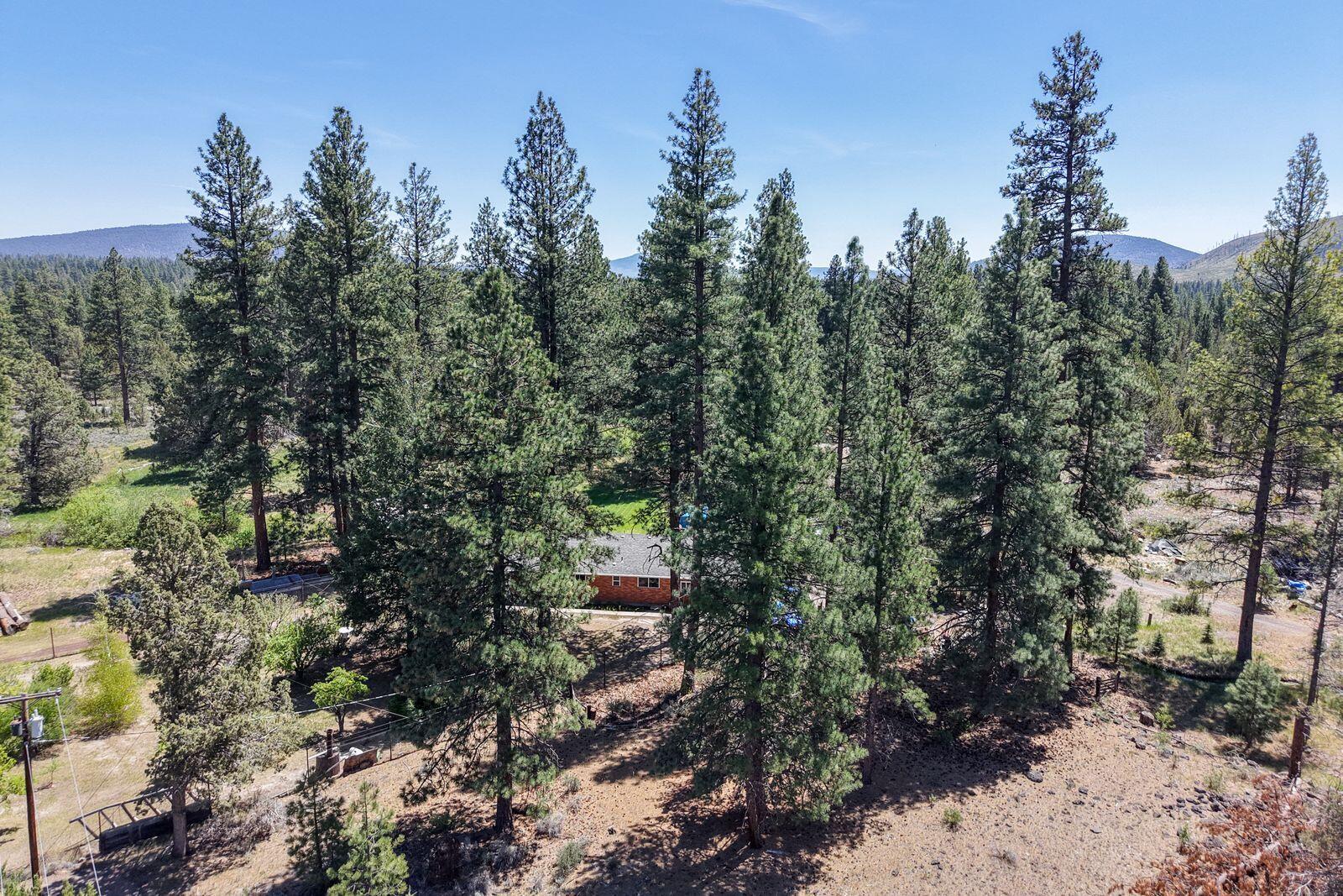 main property photo 145