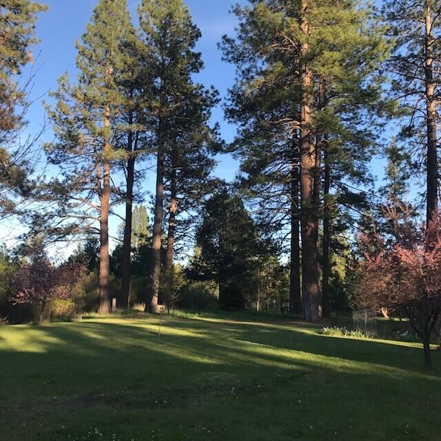 main property photo 70