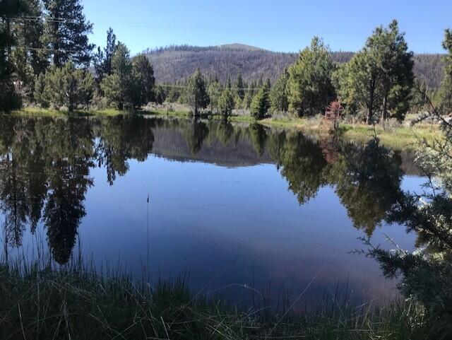 main property photo 75