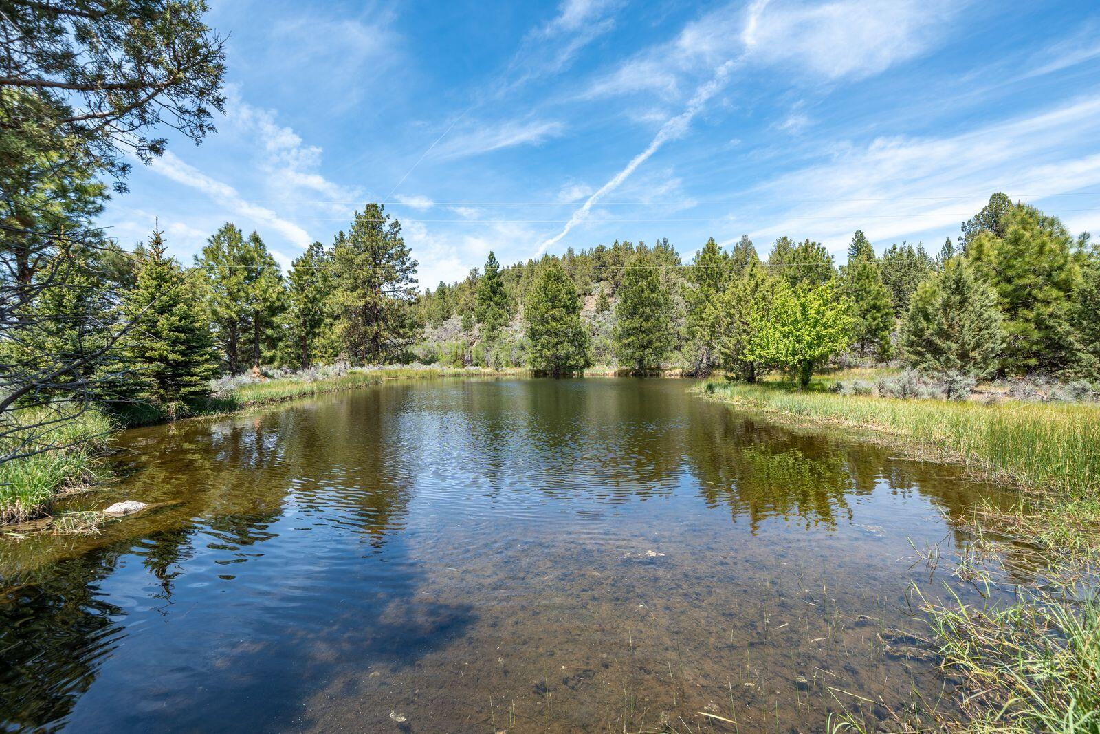 main property photo 78