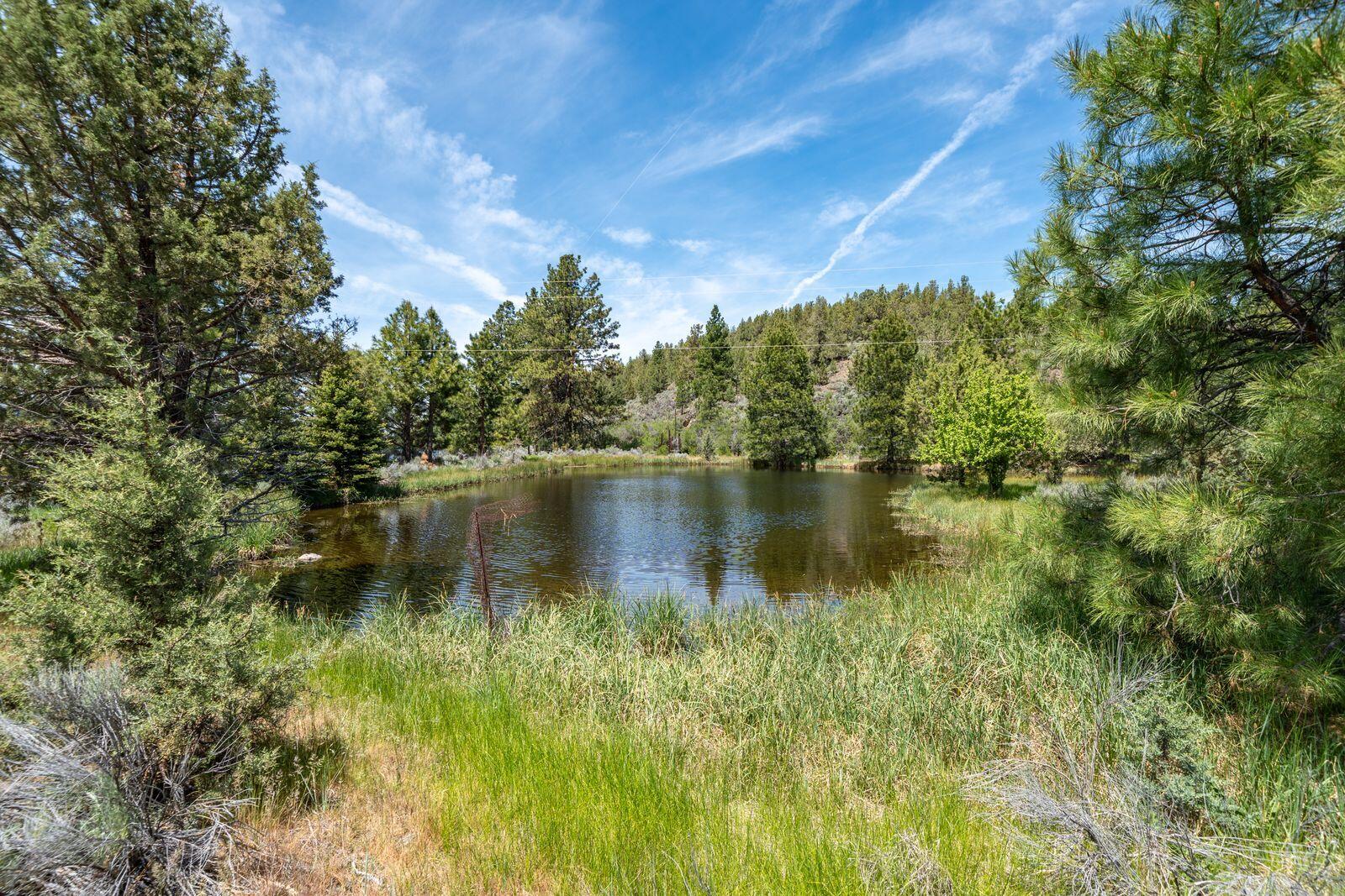 main property photo 79
