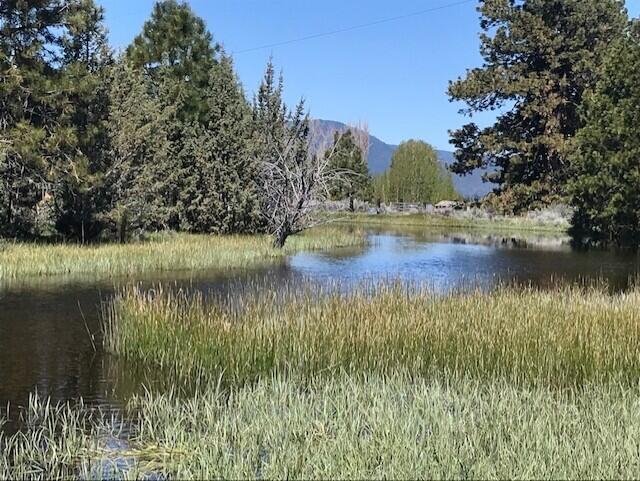 main property photo 85