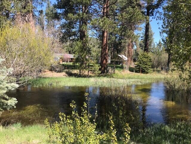 main property photo 88