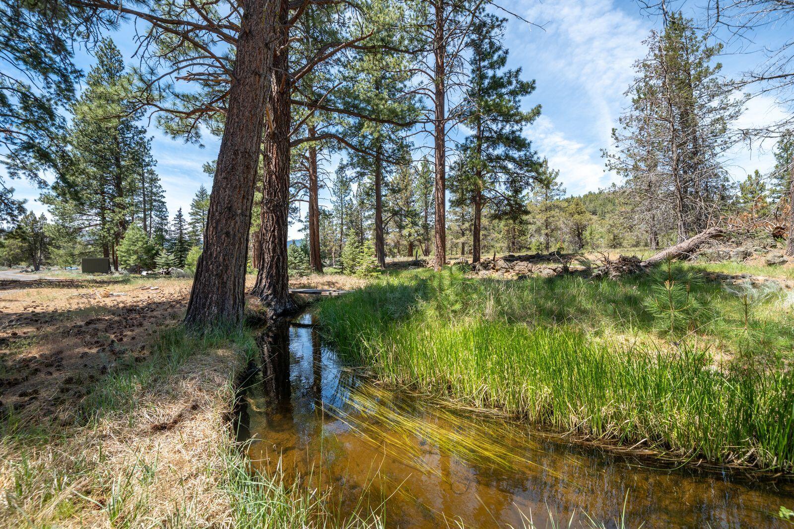 main property photo 91
