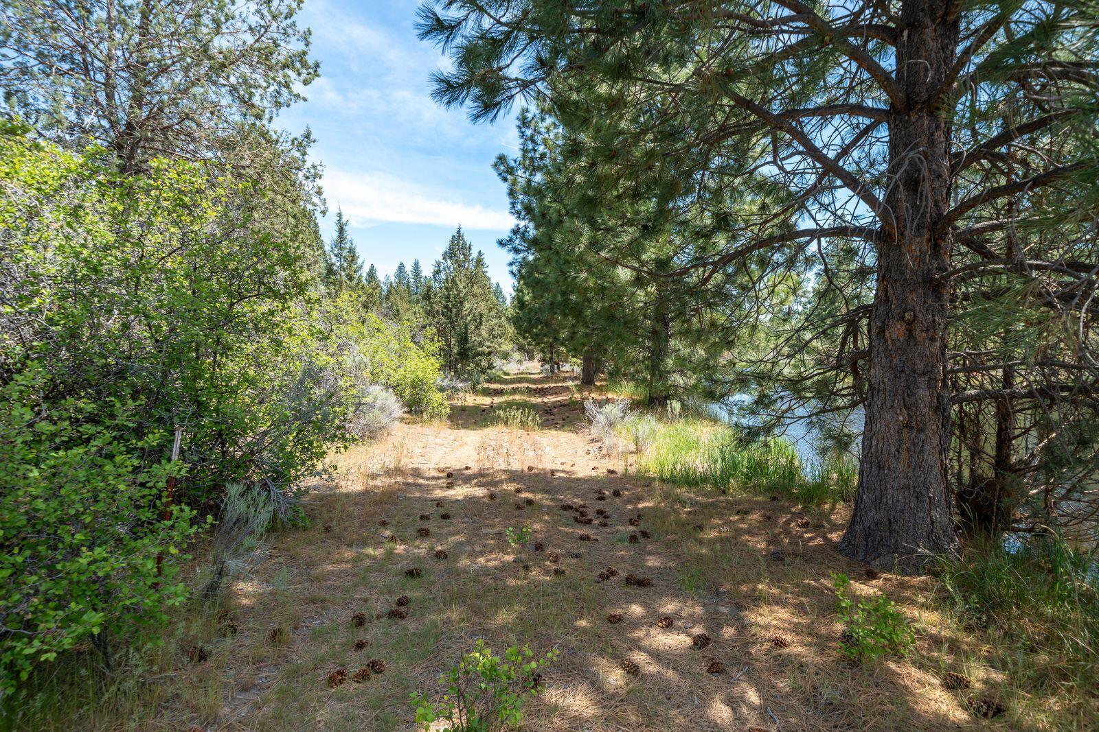 main property photo 98